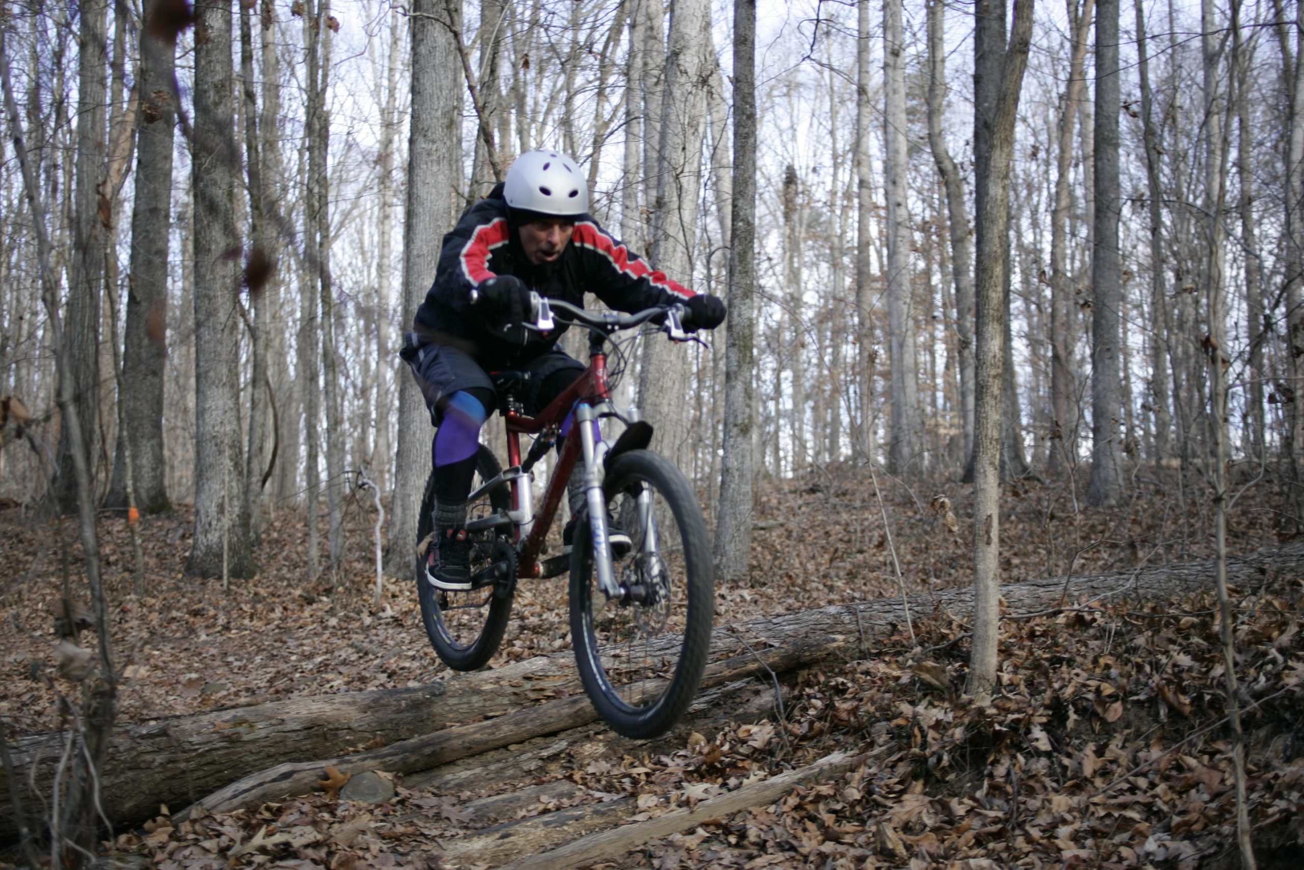 A mountain biker navigating over a log in a wooded area, surrounded by tall trees and fallen leaves, wearing a helmet and riding gear. Hobby Park mountain bike trail.