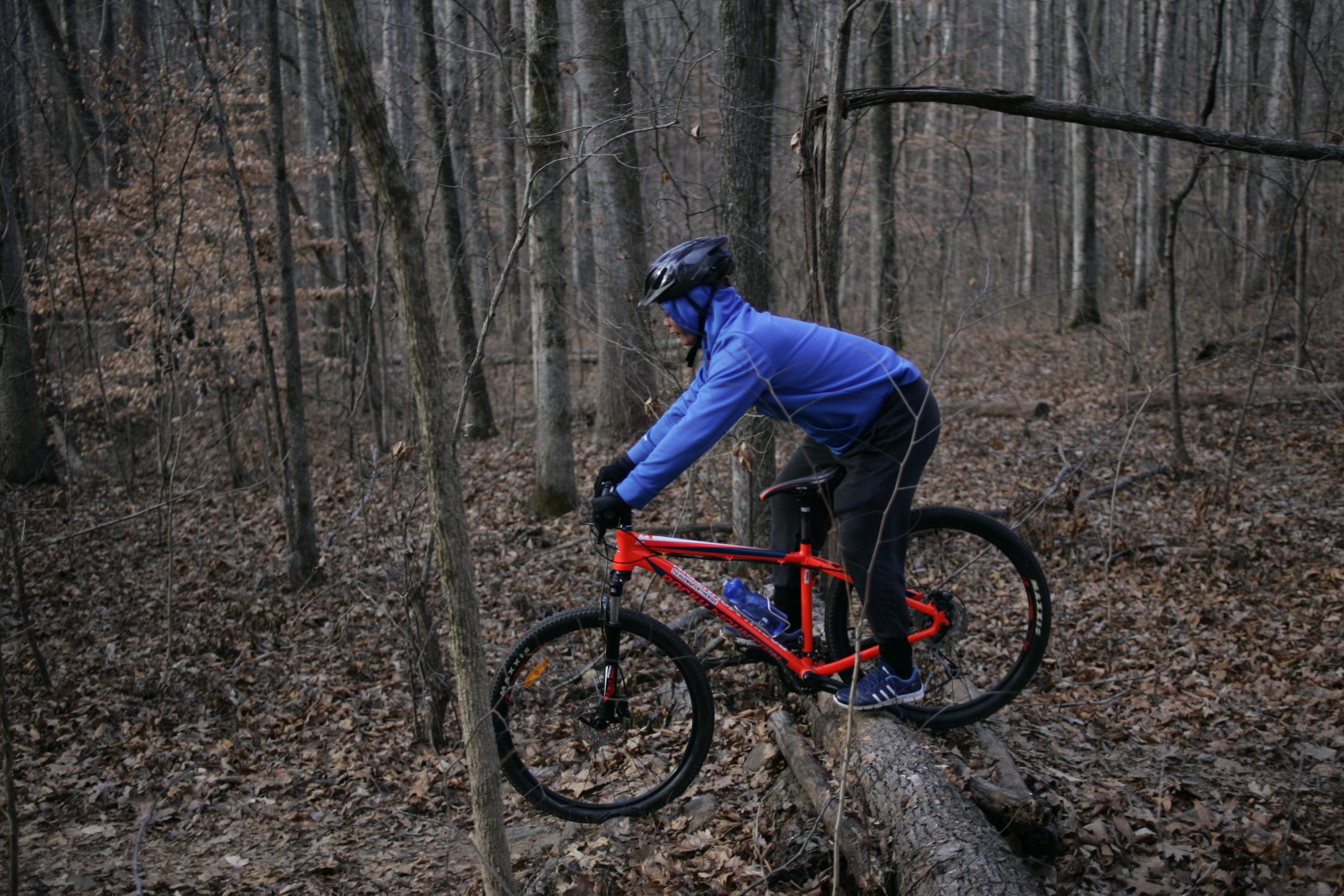 A person wearing a blue jacket and helmet is balancing on a red mountain bike, positioned on a fallen log in a forested area with leaf-covered ground and sparse trees. Hobby Park mountain bike trail.