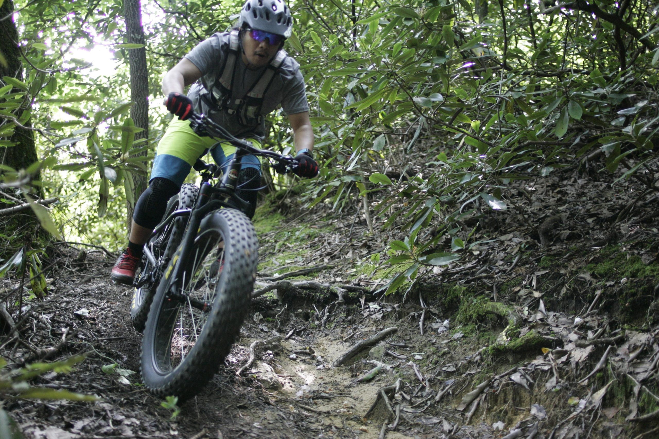 A mountain biker in a helmet and sunglasses navigates a narrow, wooded trail on a fat tire bike, surrounded by green foliage and exposed roots. The rider is leaning into a turn, showcasing the active and adventurous nature of mountain biking in a forested environment. Table Rock mountain bike trail.