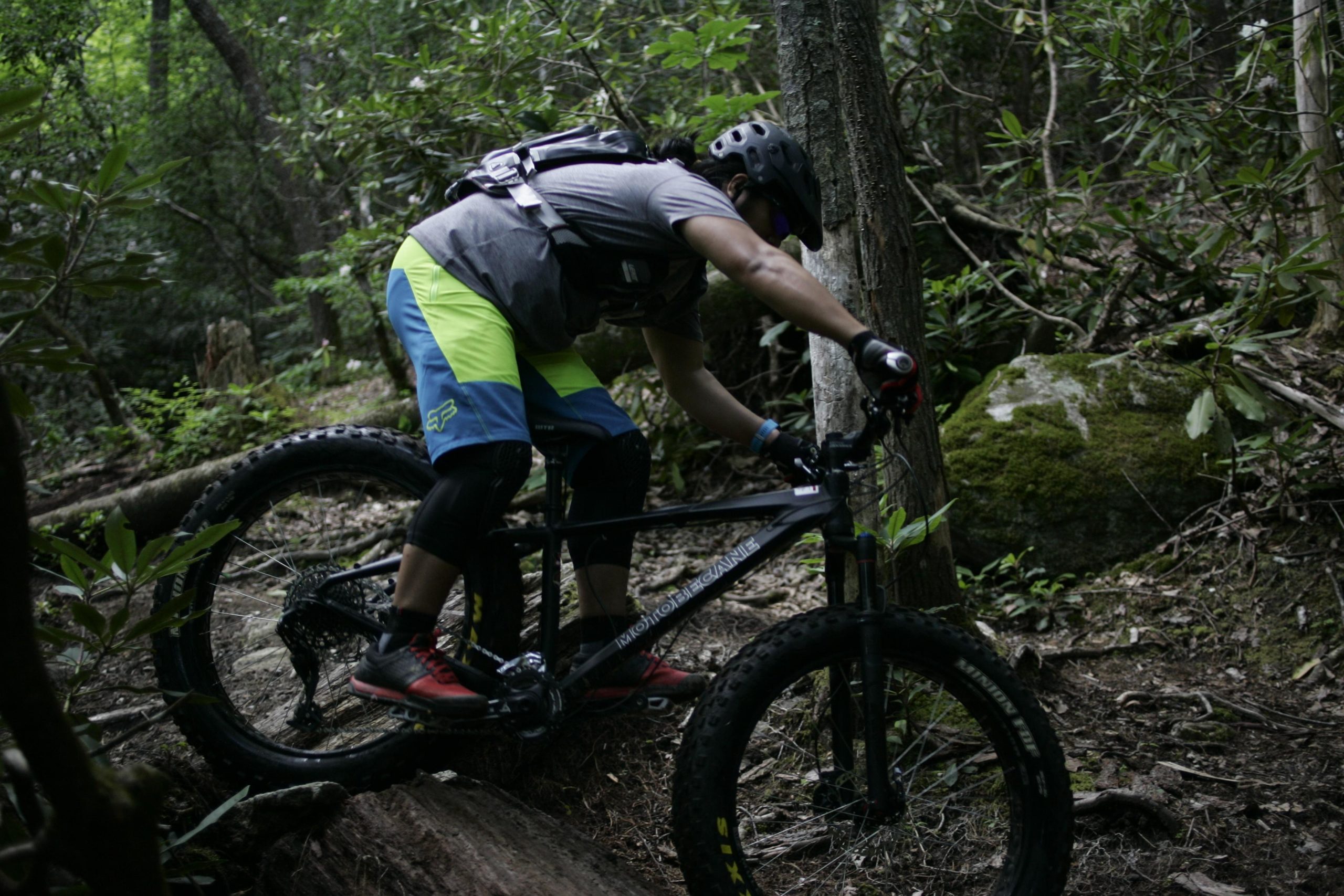 A person riding a mountain bike on a wooded trail, navigating over a log and surrounded by lush greenery. They are wearing a helmet, gloves, and protective gear, showcasing an action-packed moment in outdoor cycling. Table Rock mountain bike trail.