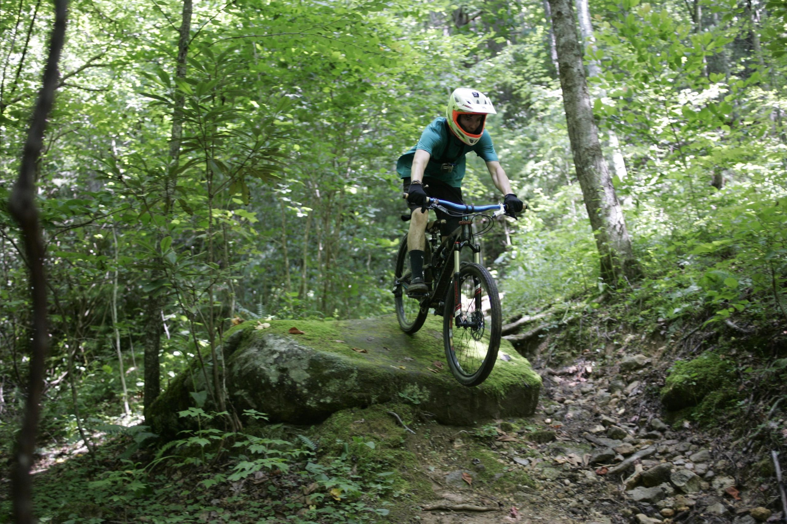 A mountain biker in a teal shirt and helmet jumps off a moss-covered rock on a trail surrounded by dense green foliage and trees. The biker is focused on navigating the rugged terrain during their ride. Table Rock mountain bike trail.