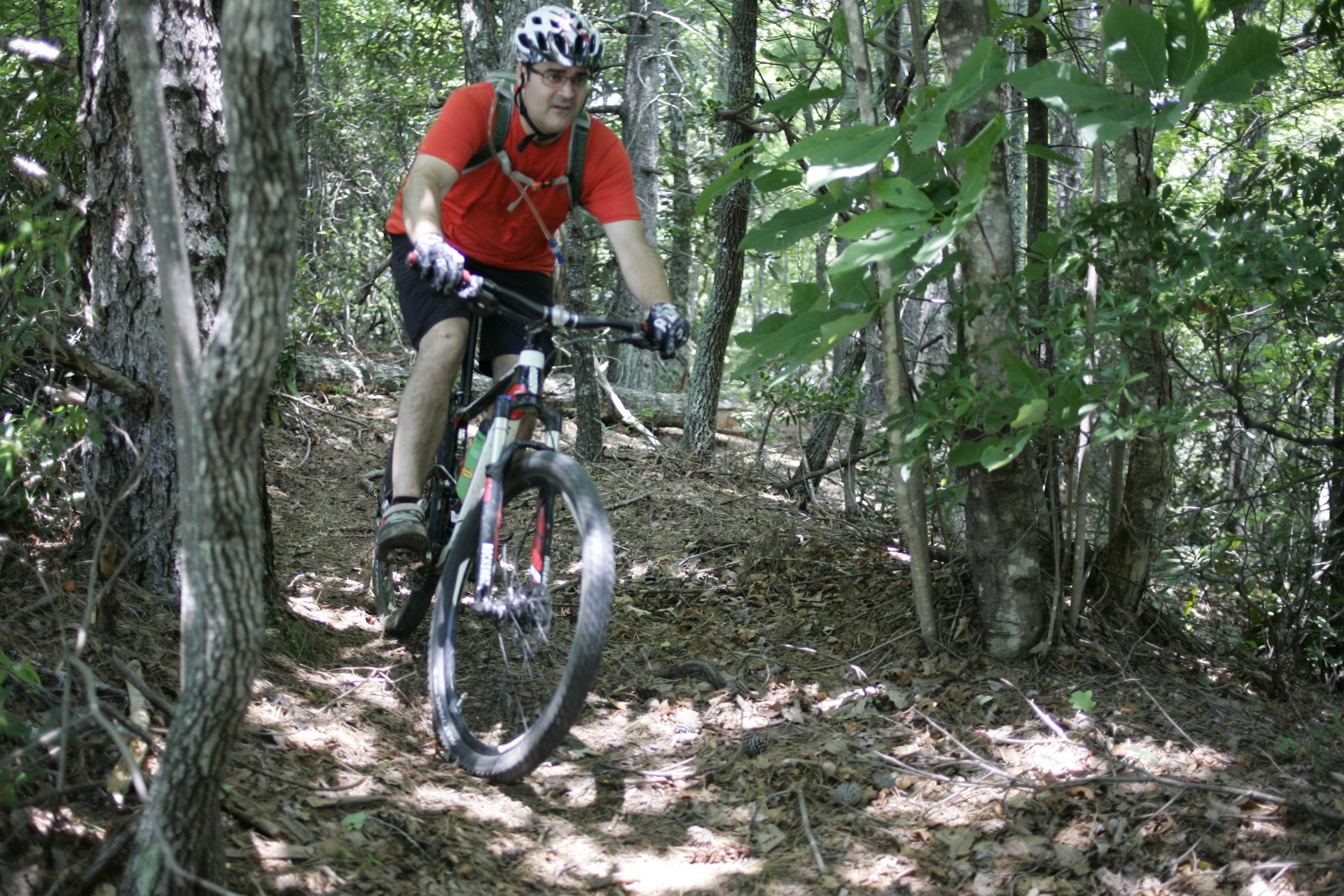 A person in a red shirt and a helmet rides a mountain bike along a narrow dirt trail surrounded by tall trees and greenery. The trail is covered with leaves and pine needles, indicating a forested outdoor setting. Table Rock mountain bike trail.