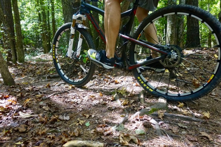 A mountain biker standing next to a bike on a dirt trail surrounded by trees, with fallen leaves and pine needles scattered on the ground. The biker is wearing shorts and athletic shoes, and the bike features thick tires designed for off-road use. Sunlight filters through the forest canopy.