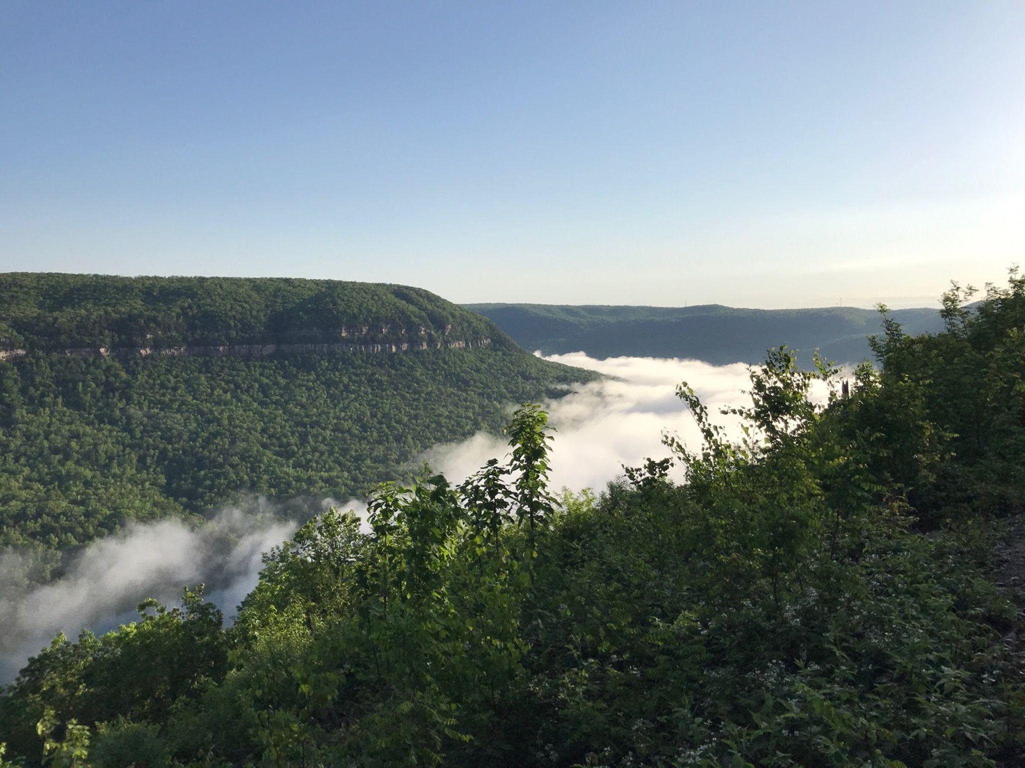 A scenic view of a lush green valley with mist rolling along the river below, framed by forested hills under a clear blue sky. Raccoon Mountain Trail Network mountain bike trail.