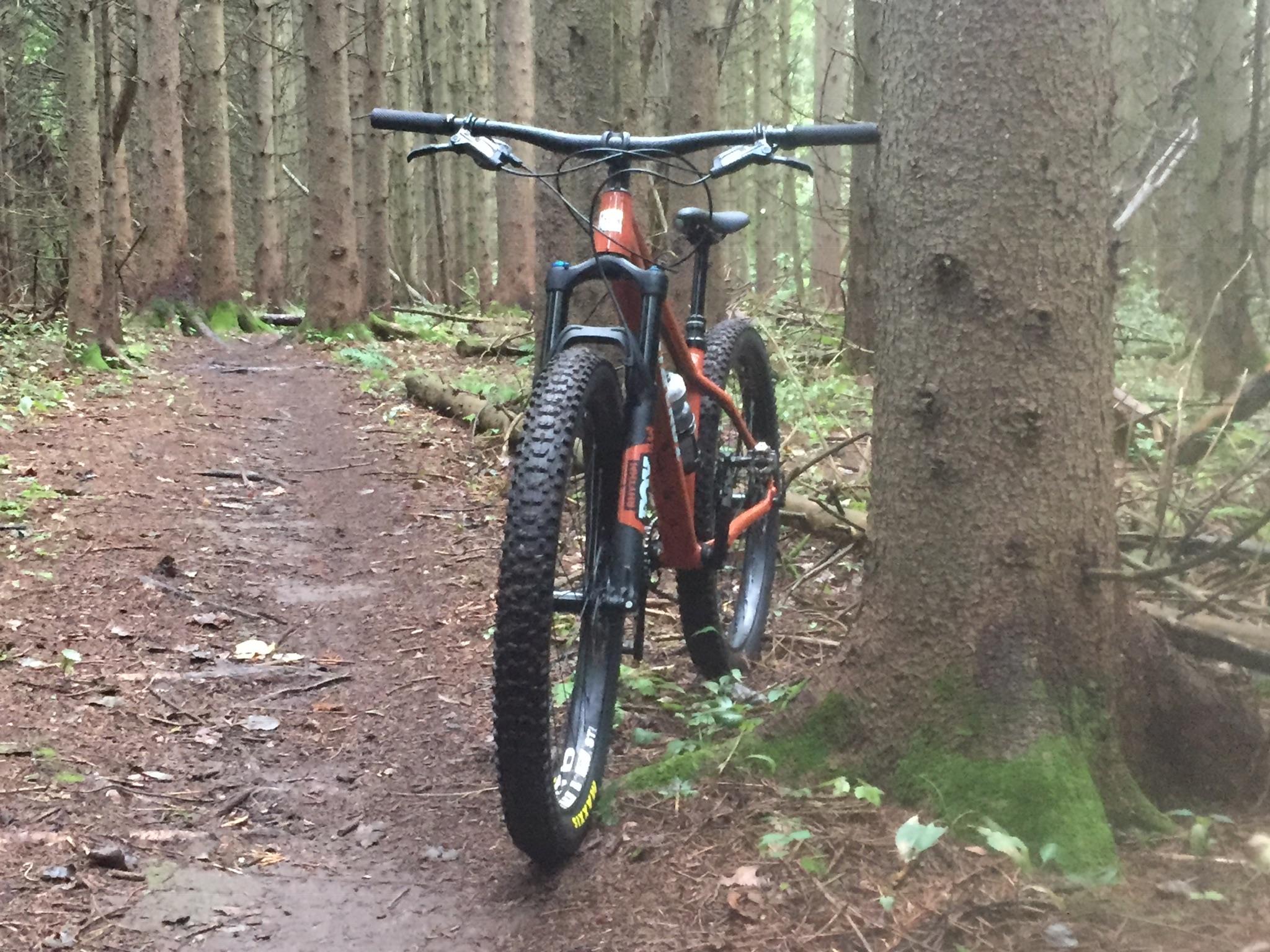 Santa Cruz Chameleon: A mountain bike positioned on a dirt trail surrounded by tall trees in a forest. The bike features thick, textured tires and a vibrant orange frame, with a close-up view of the rear wheel and a nearby tree trunk. The forest floor is covered with pine needles and scattered foliage.