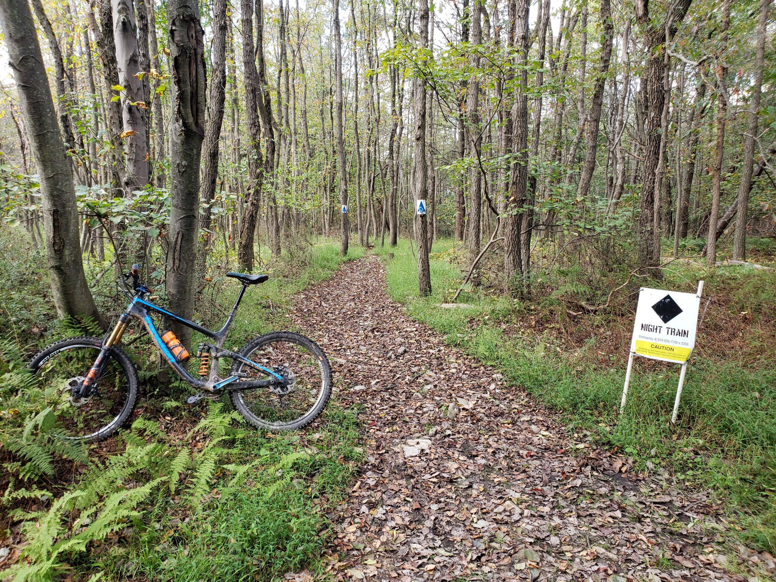 Transition Patrol: A mountain bike rests against a tree on a dirt trail surrounded by tall trees and greenery. A sign labeled "NIGHT TRAIN" is visible near the trail, indicating a cautionary note for riders. The path is covered in a layer of fallen leaves, and the atmosphere is tranquil, suggesting a serene biking environment.