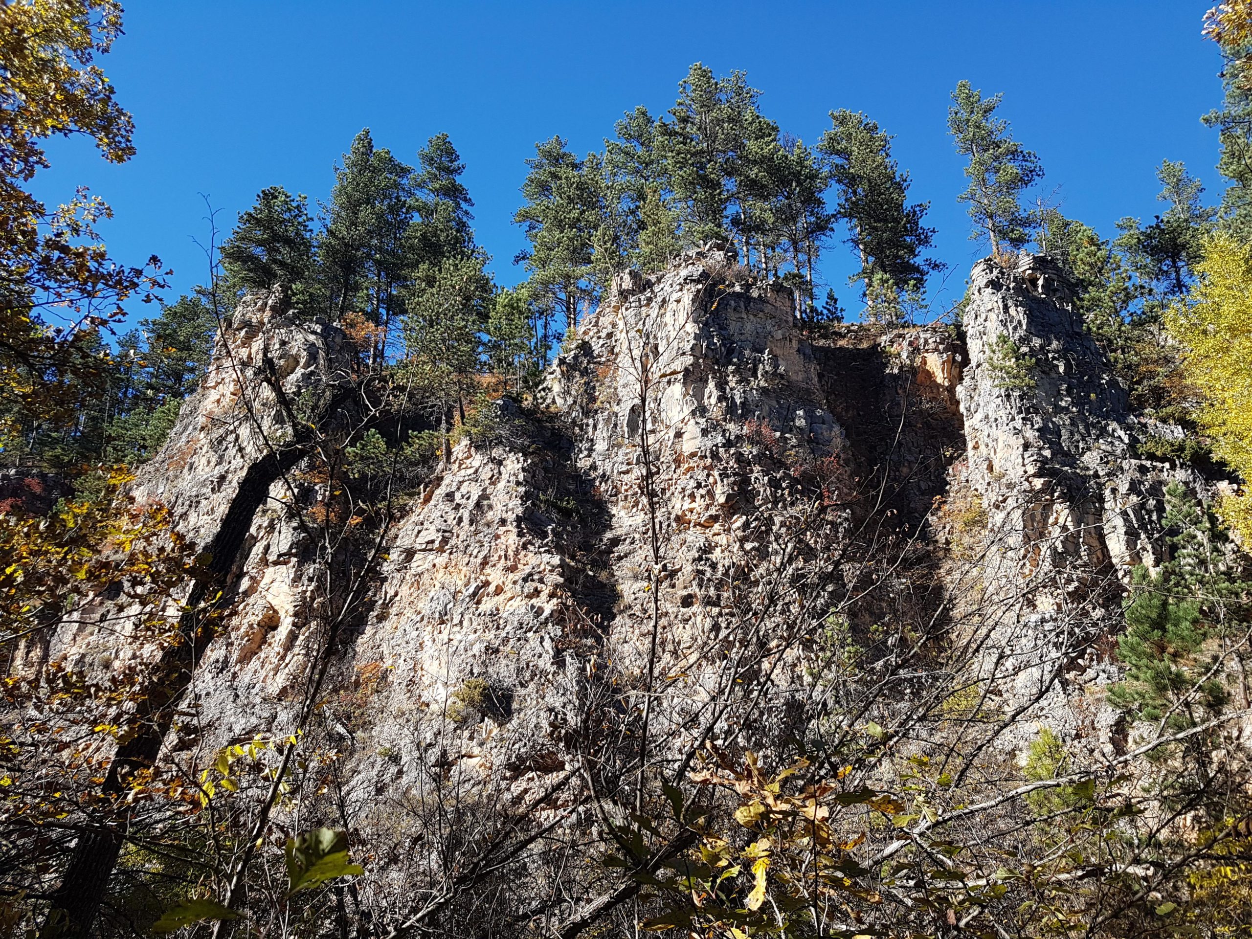 A rocky cliffside with scattered pine trees at the top, surrounded by autumn foliage and a clear blue sky. The foreground features some branches and leaves. Centennial Trail mountain bike trail.