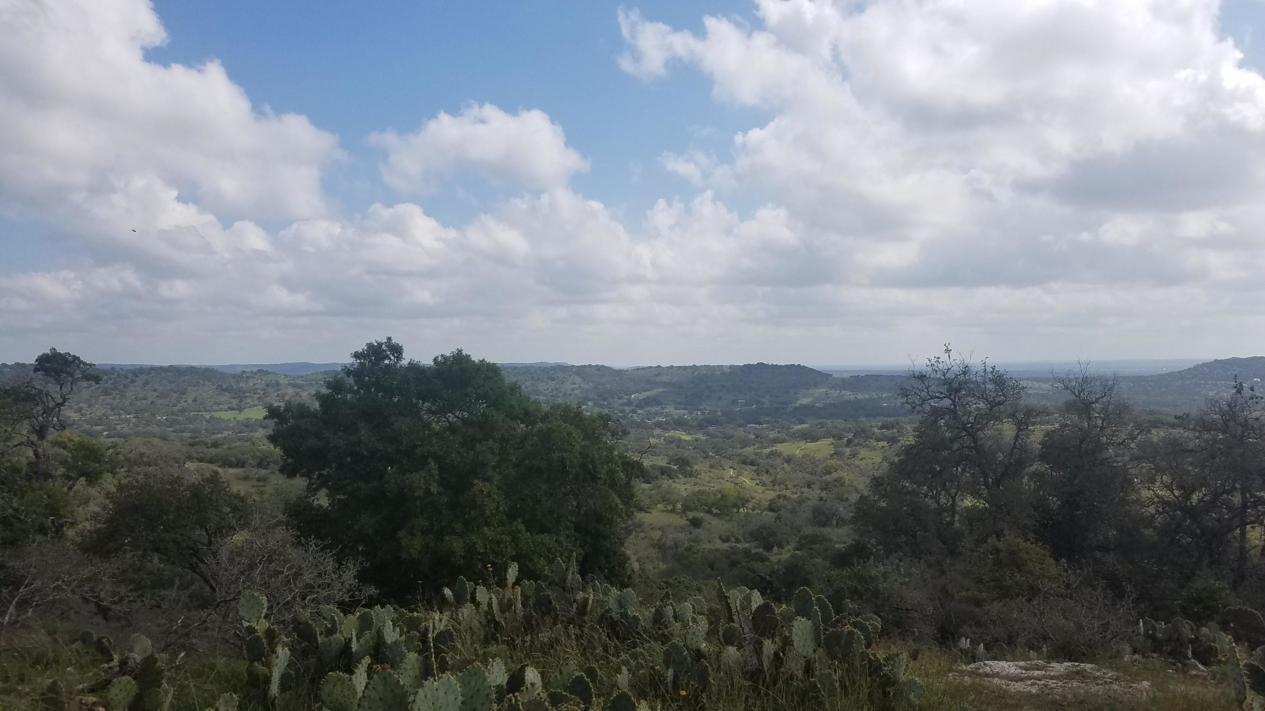A scenic view of rolling hills and lush greenery under a partly cloudy sky, featuring a foreground of cacti and trees. The landscape stretches into the distance, showcasing the natural beauty of the area. Flat Rock Ranch mountain bike trail.