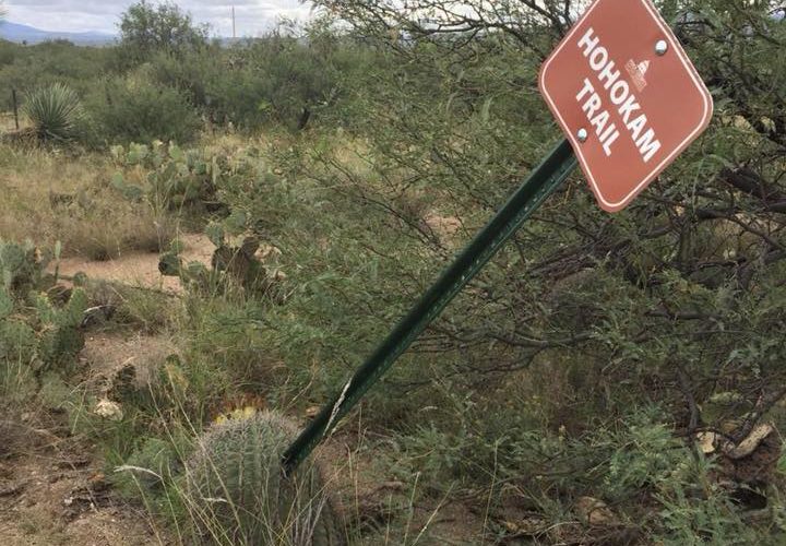 A slightly tilted sign marking the Hohokam Trail stands amid a desert landscape, surrounded by various shrubs and cacti under a cloudy sky.