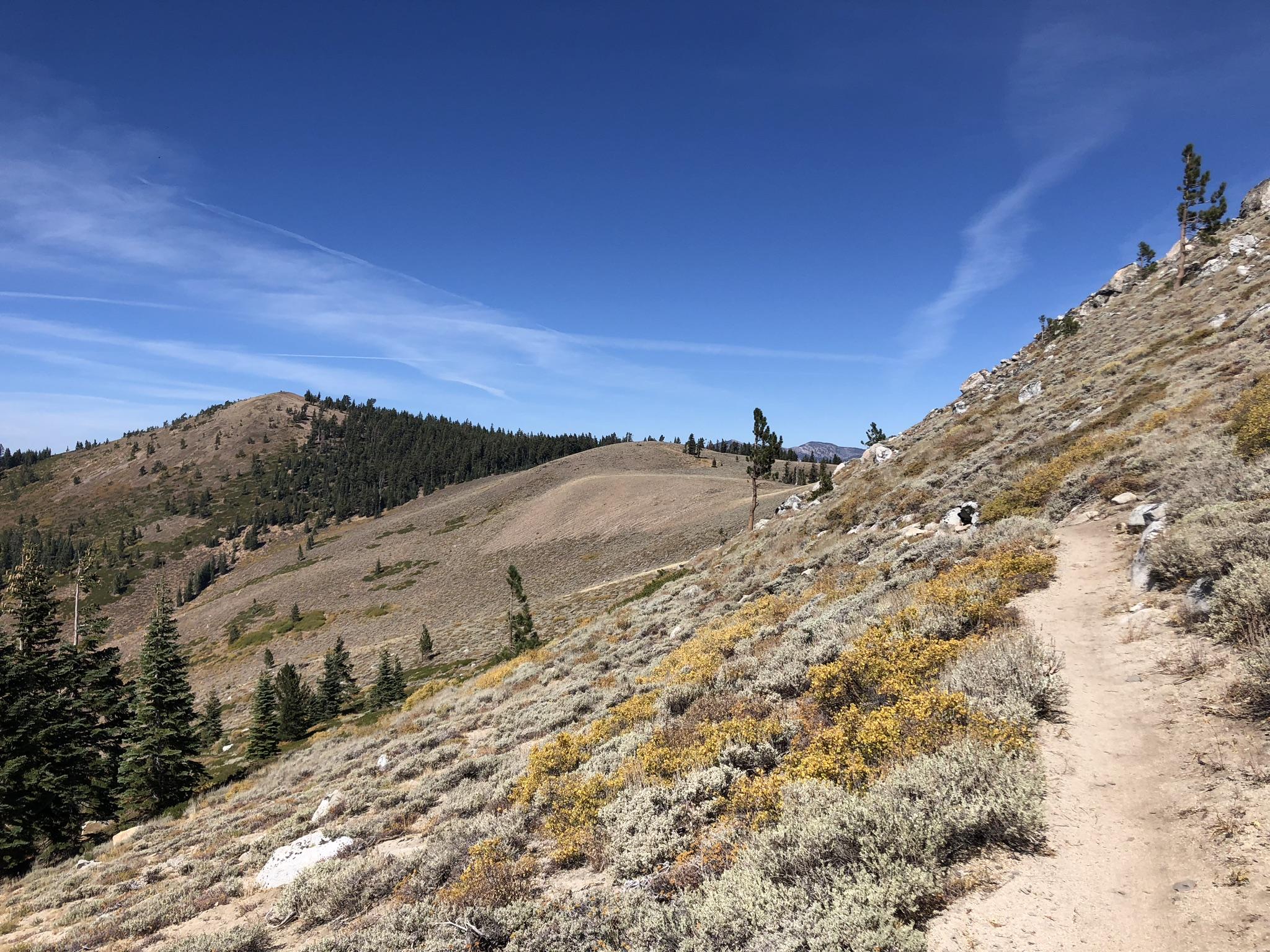 A scenic view of a mountain landscape featuring rolling hills, sparse vegetation, and a dirt path winding through the foreground. The sky is clear and blue with a few wispy clouds. Evergreen trees are scattered throughout the area, and rocky outcrops are visible in places. Tahoe Rim Trail: Tahoe Meadows to Tunnel Creek Road / Flume Trail mountain bike trail.