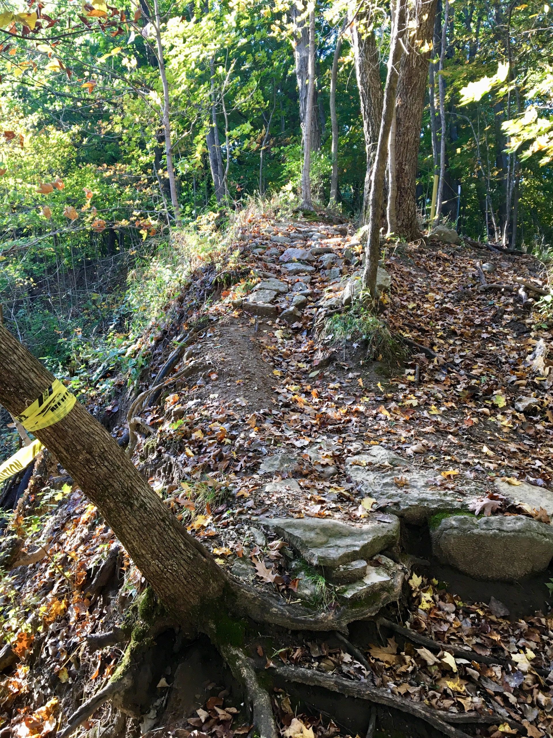 A narrow, rocky trail winds through a vibrant forest in autumn. The ground is covered with colorful fallen leaves, and tree roots are visible along the path. Sunlight filters through the leaves, casting a warm glow on the scene, while a yellow caution tape is draped around a tree, indicating a potential hazard nearby. Farmdale Reservoir Recreation Area mountain bike trail.