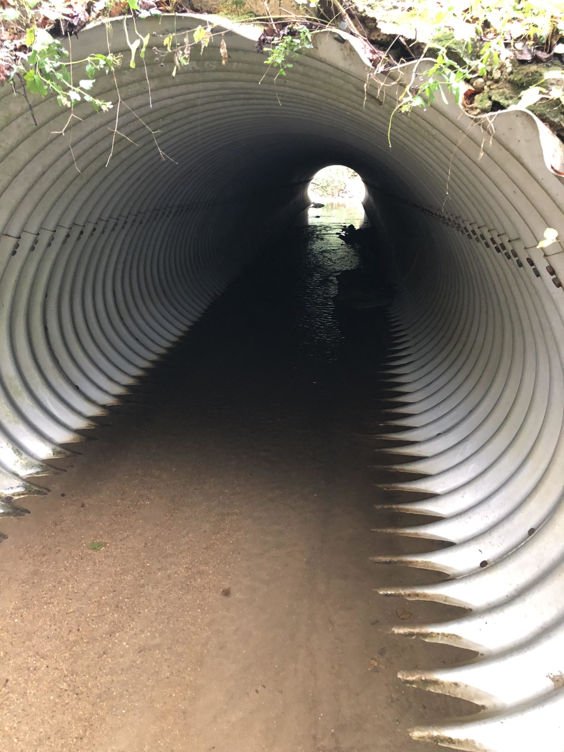 A view inside a corrugated metal tunnel, dimly lit, leading to a bright opening at the far end. The sandy floor is partially submerged in water, and overgrown vegetation is visible along the edges of the tunnel. White Clay Creek mountain bike trail.