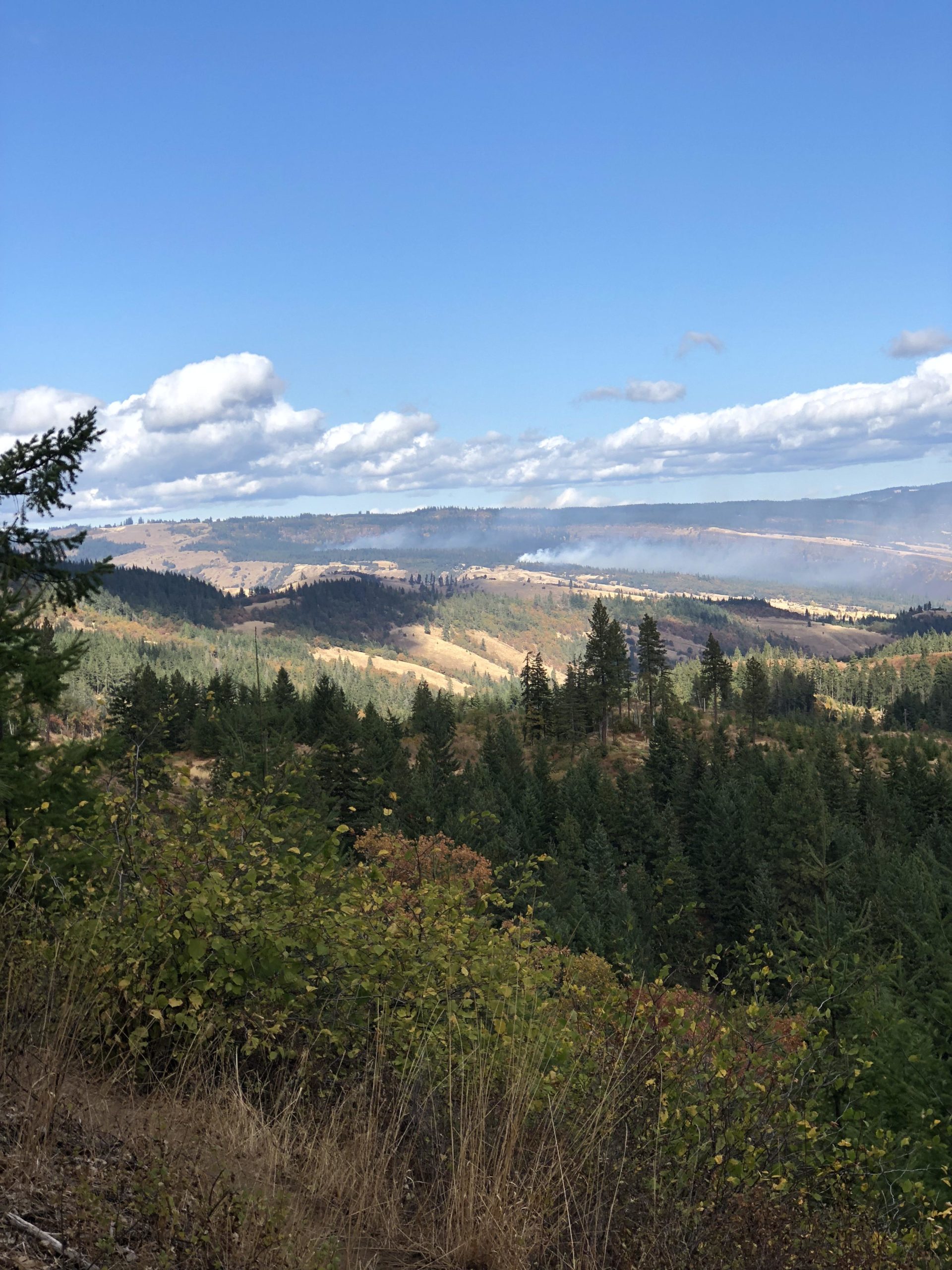 A scenic view of rolling hills and a forested landscape under a blue sky with fluffy clouds. In the distance, wisps of smoke rise above the hills, indicating a possible fire. The foreground features a mix of green bushes and dry grass, enhancing the natural beauty of the location. Whoopdee mountain bike trail.