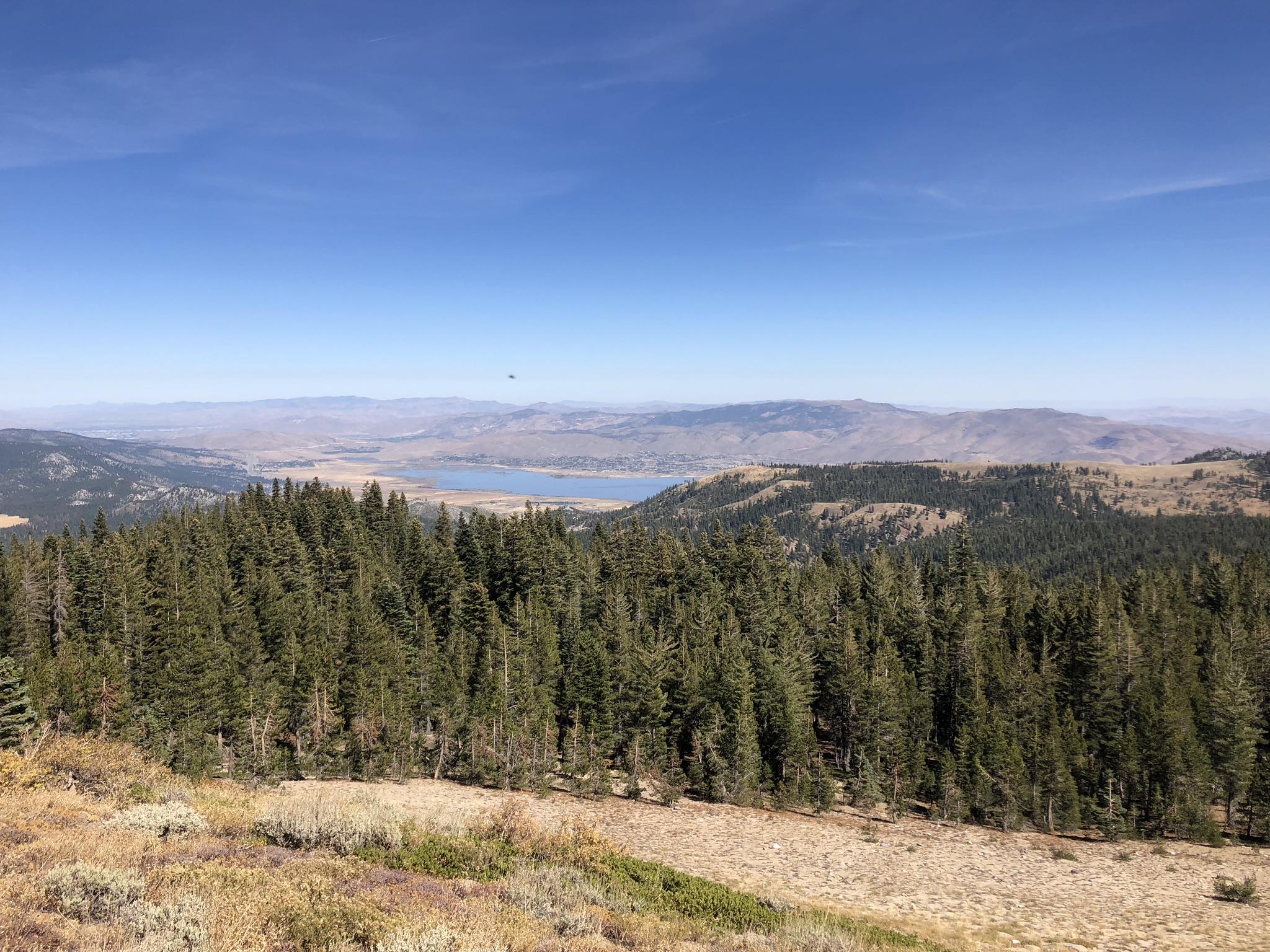 A panoramic view of a mountainous landscape featuring a dense forest of pine trees in the foreground, rolling hills in the midground, and a large body of water visible in the distance beneath a clear blue sky. The scene conveys a sense of tranquility and natural beauty. Tahoe Rim Trail: Tahoe Meadows to Tunnel Creek Road / Flume Trail mountain bike trail.