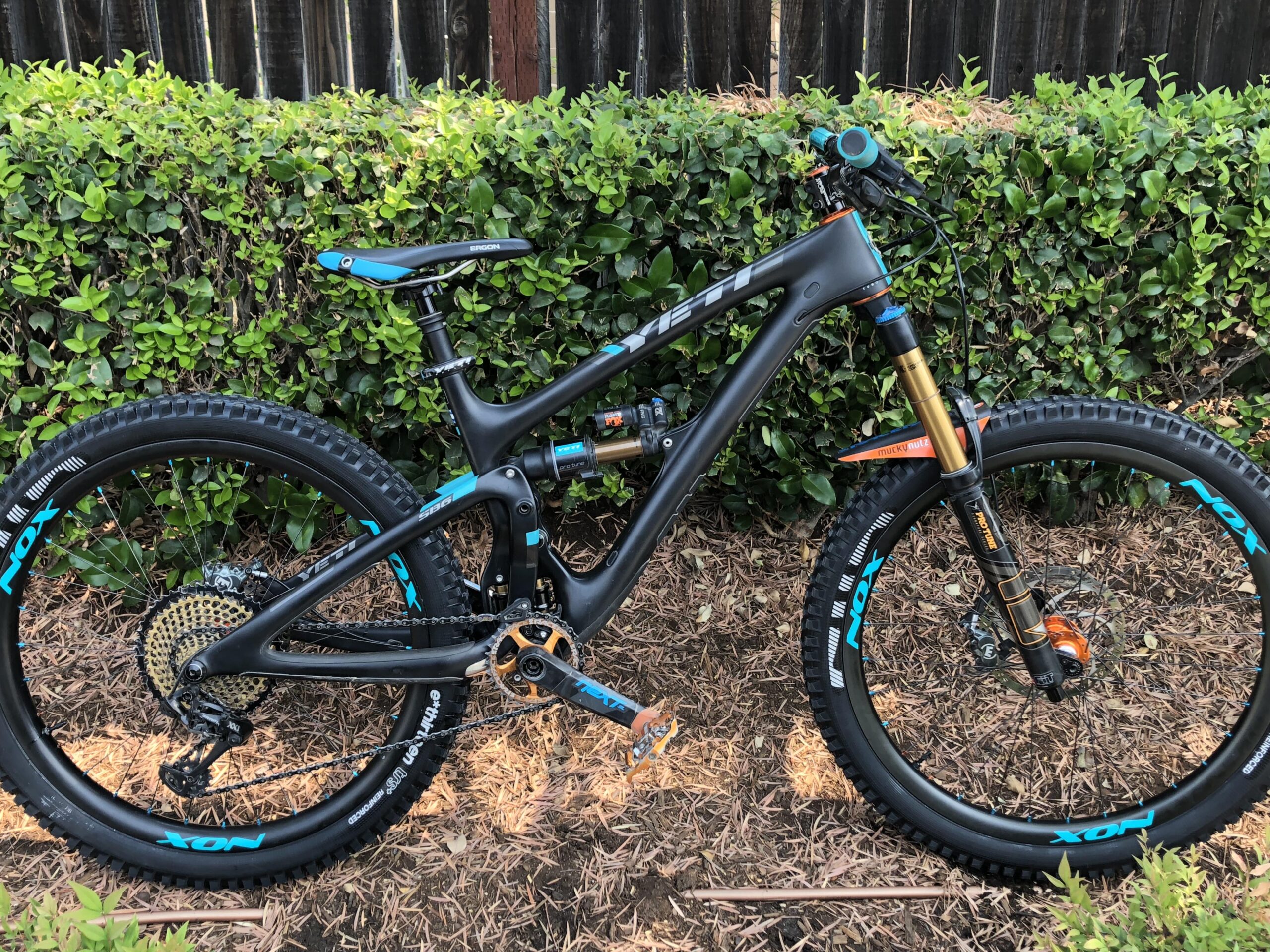 Yeti SB6: A high-performance mountain bike with a sleek black frame and blue accents, positioned next to a lush green hedge. The bike features thick tires, a prominent suspension system, and detailed components including a gold-colored shock, making it suitable for off-road trails. The background adds a natural setting to the composition.