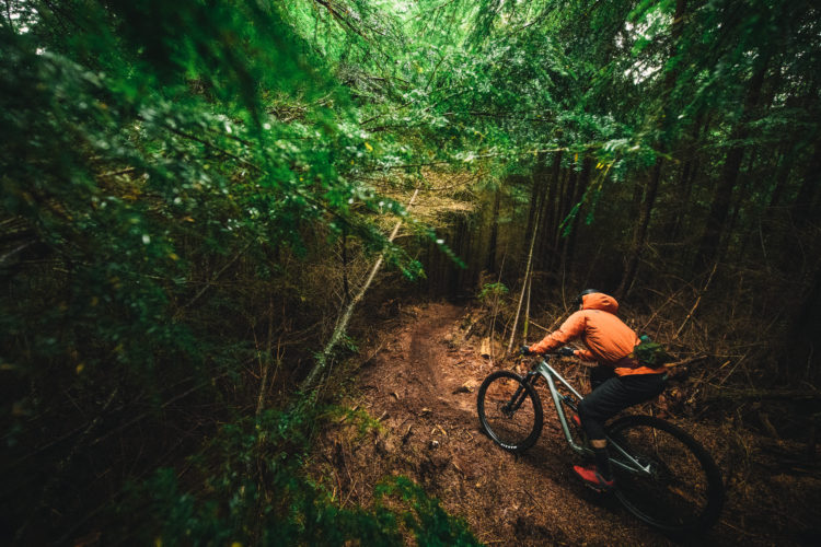 A mountain biker in an orange jacket rides along a dirt trail surrounded by dense green forest. The bike's tires trace the winding path as the biker navigates through the lush, vibrant landscape. Sunlight filters through the trees, creating a serene and adventurous atmosphere.