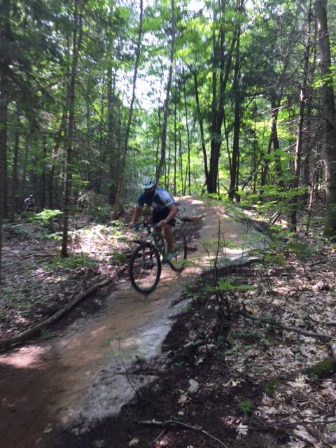 A mountain biker navigating a dirt trail through a lush green forest, surrounded by tall trees and dappled sunlight. The rider is leaning forward on the bike as they maneuver over a section of the path. Buckwallow mountain bike trail.