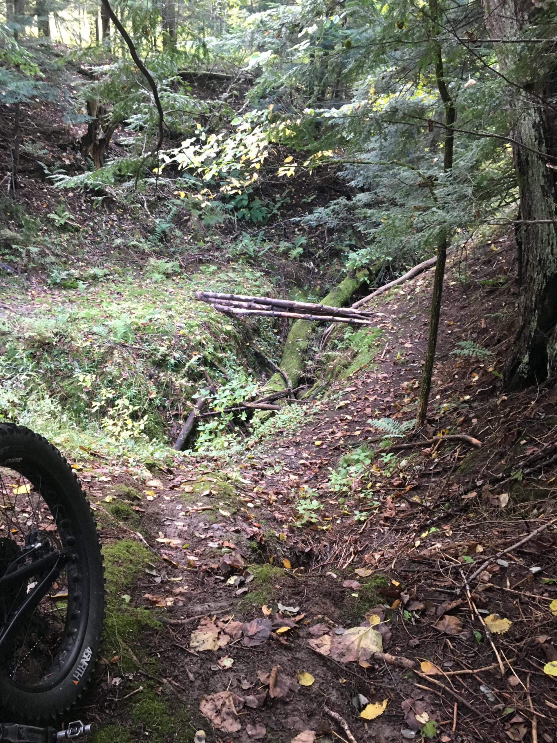 A narrow trail through a forest, featuring a mossy area with fallen leaves. In the foreground, a bicycle tire is visible, indicating an outdoor biking experience. The background shows dense greenery, low vegetation, and fallen logs, creating a serene, natural landscape. Livoutside Outside Adventute Trails mountain bike trail.