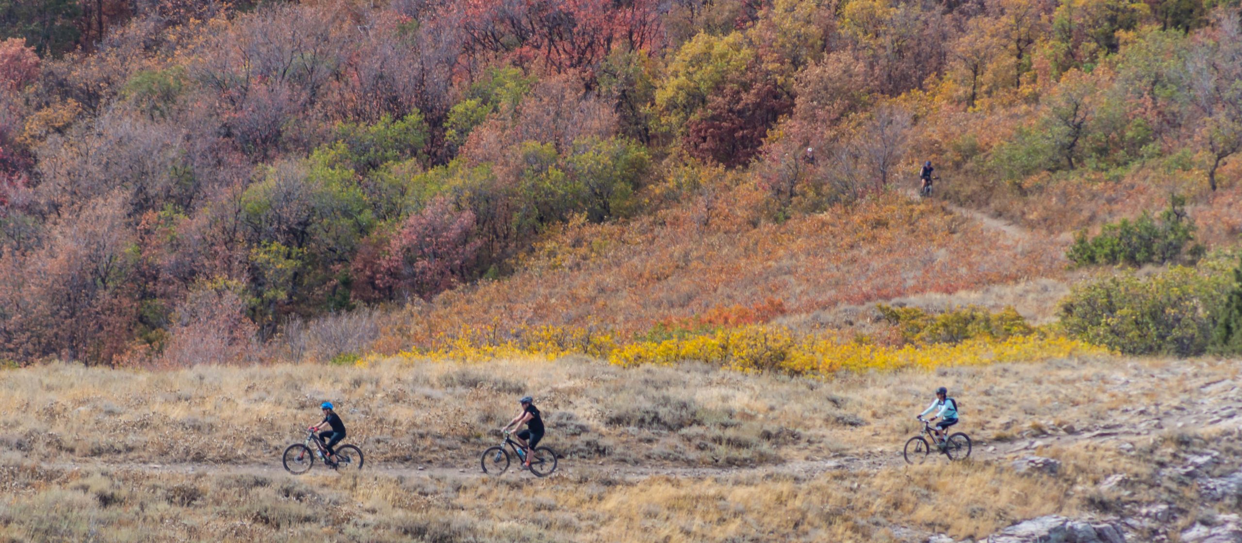 Four mountain bikers ride along a dirt trail in a hilly area, surrounded by vibrant autumn foliage. The landscape features a mix of colorful trees in shades of red, orange, and green, set against a backdrop of dry grass and rocky terrain. Sardine Peak Loop mountain bike trail.
