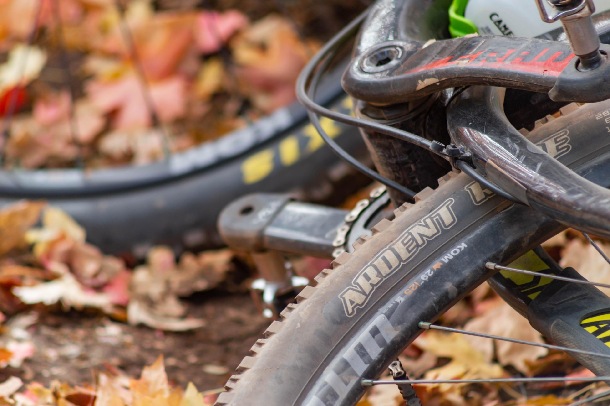 A close-up image of a mountain bike partially covered in colorful autumn leaves. The focus is on the tire labeled "ARDENT," showing some dirt, and the bike's frame and components are slightly blurred in the background. Sardine Peak Loop mountain bike trail.
