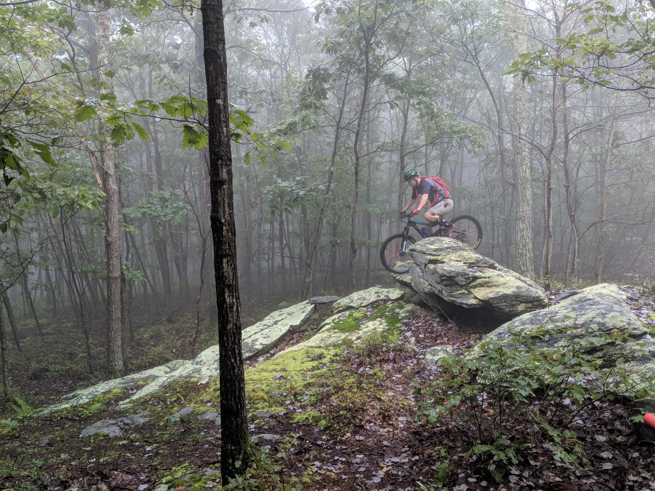 A mountain biker navigating a rocky terrain in a foggy forest, surrounded by trees and underbrush. The biker is balancing on a large rock, showcasing a challenging trail in a misty environment. Frederick Watershed mountain bike trail.