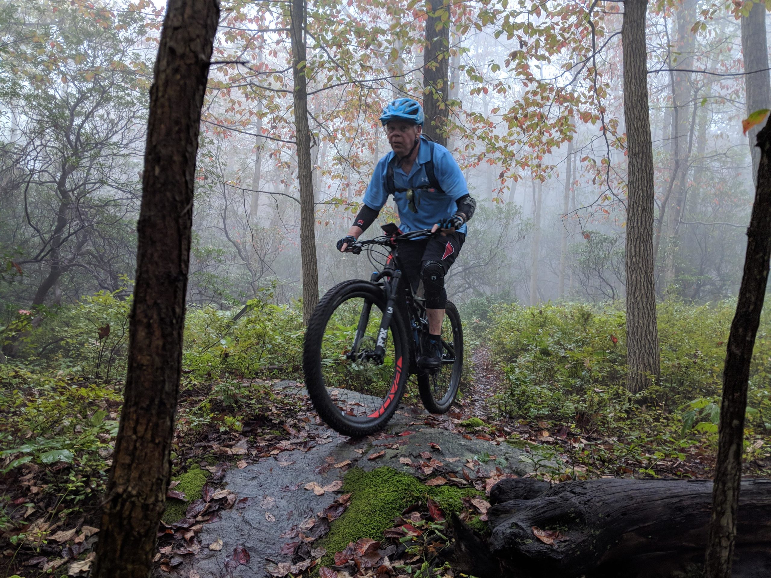 A cyclist wearing a blue helmet and a light blue shirt navigates a rocky trail through a foggy forest, surrounded by trees with autumn leaves. The ground is covered in wet leaves and moss, indicating a damp environment. Frederick Watershed mountain bike trail.