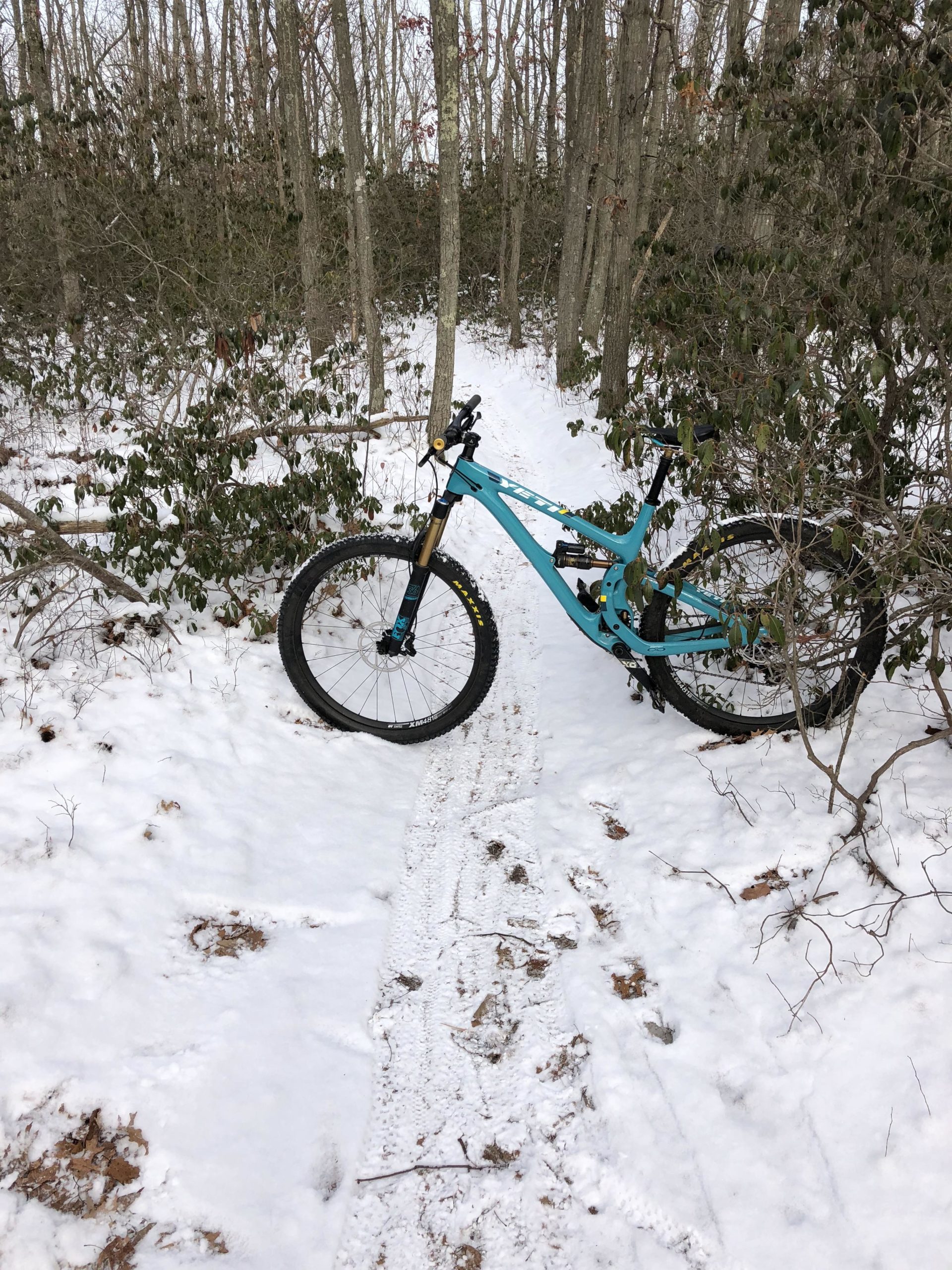 A mountain bike leaning against a tree along a snowy trail in a forest. The ground is partially covered with snow, and faint tire tracks are visible. Surrounding the bike are bare trees and some green foliage, suggesting a winter scene. Allaire State Park mountain bike trail.
