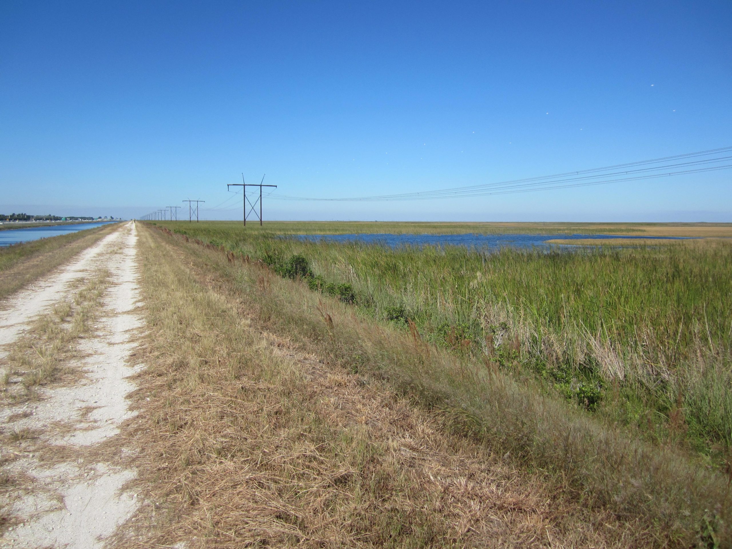 A narrow dirt path surrounded by tall grasses leads towards distant power lines on a sunny day. To the right, a body of water reflects the blue sky, while patches of green marshland are visible on the left. The landscape is open, with a clear horizon under a bright blue sky. The Levee mountain bike trail.