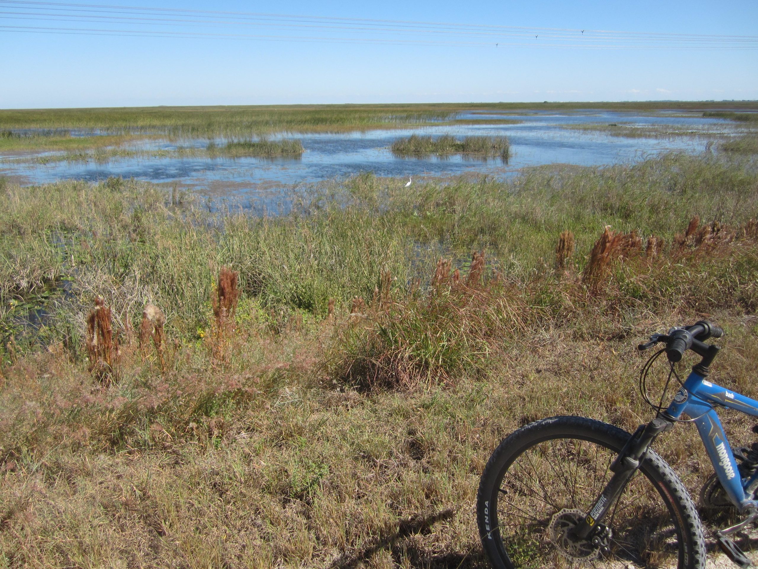 A scenic view of a wetland area featuring tall grasses and shallow water, with a blue sky overhead. A mountain bike is positioned in the foreground, partially obscured by vegetation. The landscape includes patches of greenery and a hint of distant water bodies. The Levee mountain bike trail.
