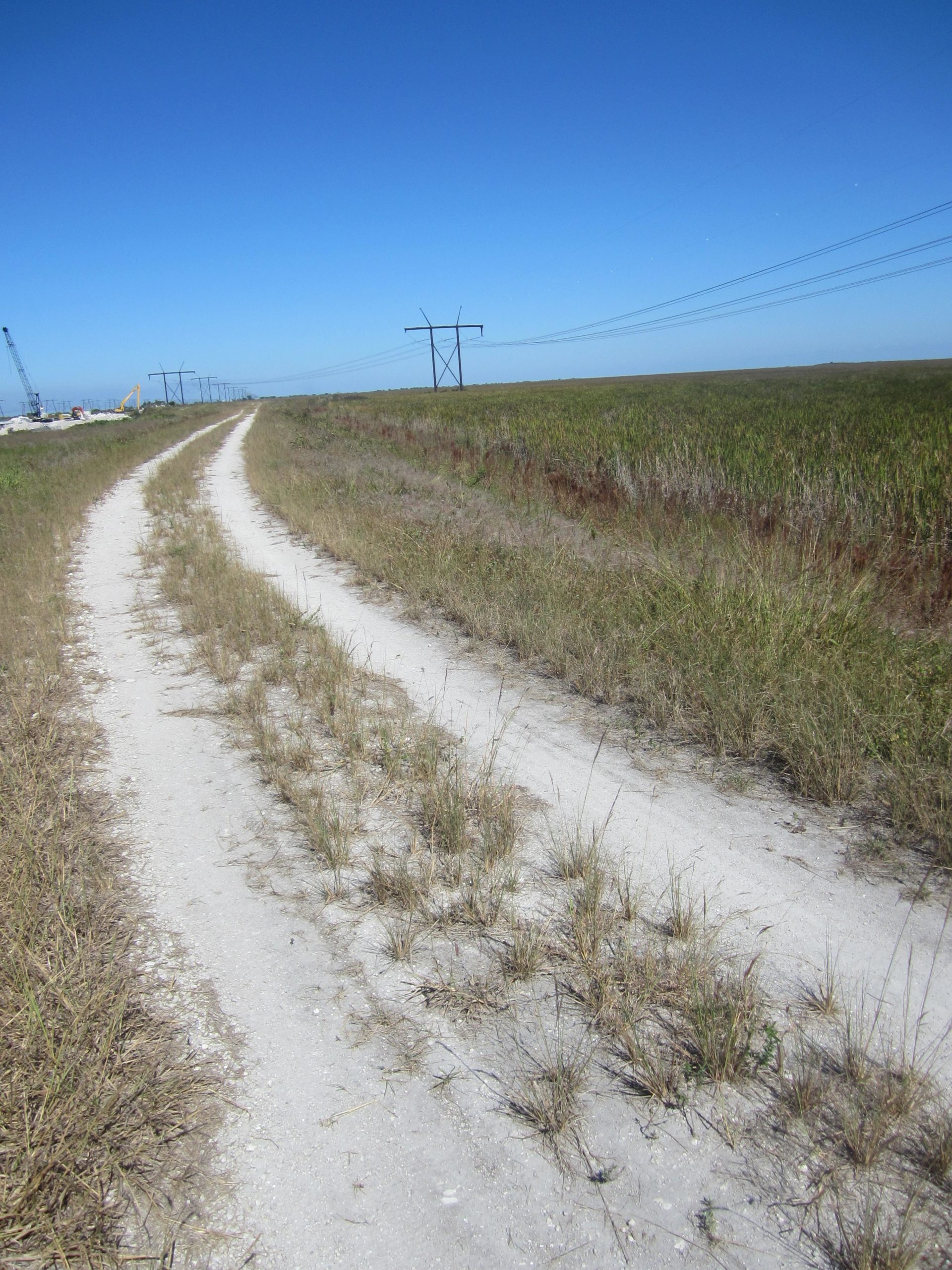 A dirt path winding through tall grasses, leading toward distant power lines against a clear blue sky. The landscape features a mix of sandy soil and patches of grass, with a construction area visible in the background. The Levee mountain bike trail.
