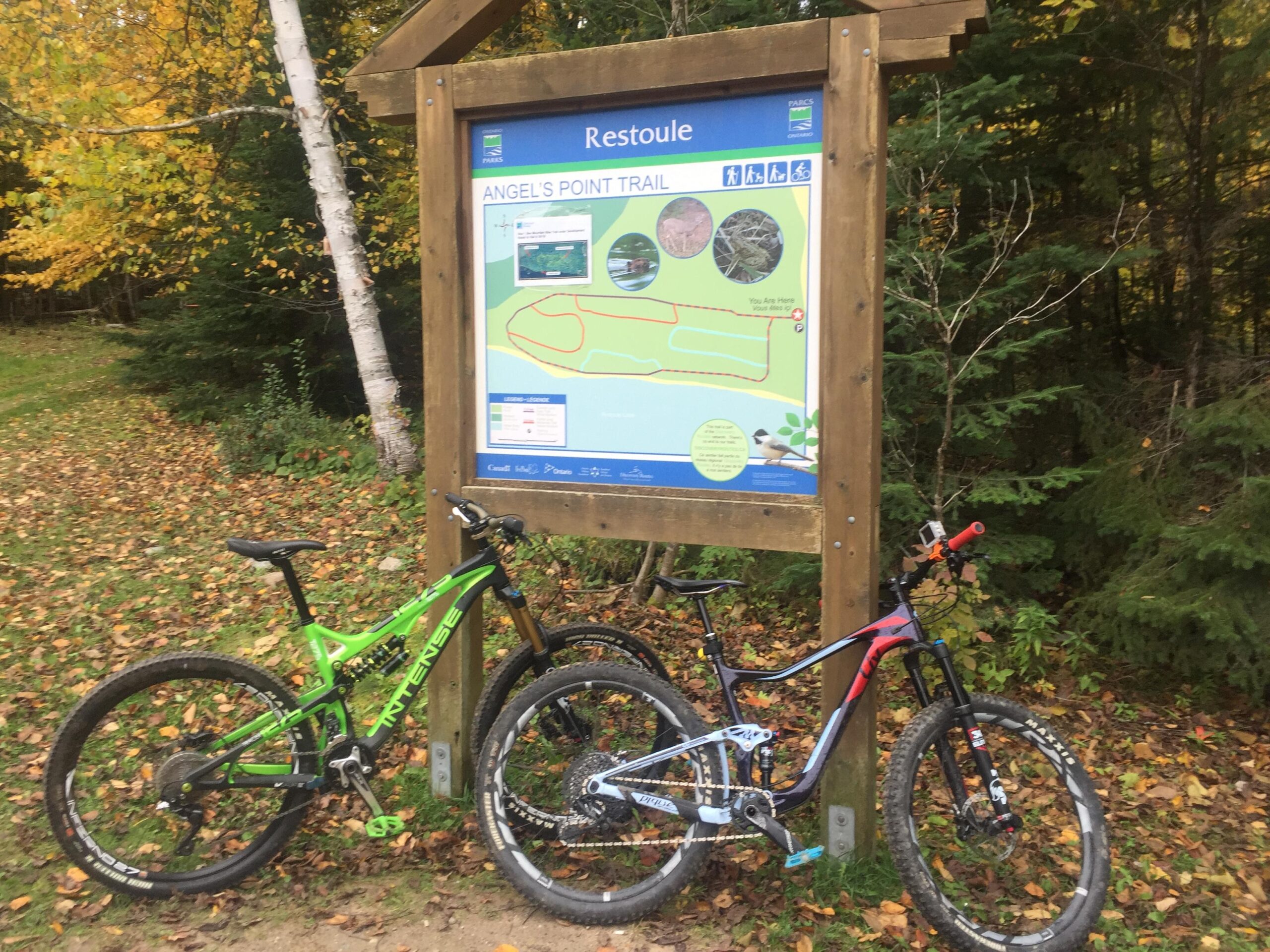 LIV Pique: A pair of mountain bikes resting next to a sign for the Angel's Point Trail in a forested area, surrounded by autumn foliage with yellow and green leaves. The sign features a map and information about the trail, indicating its accessibility for walking and biking.