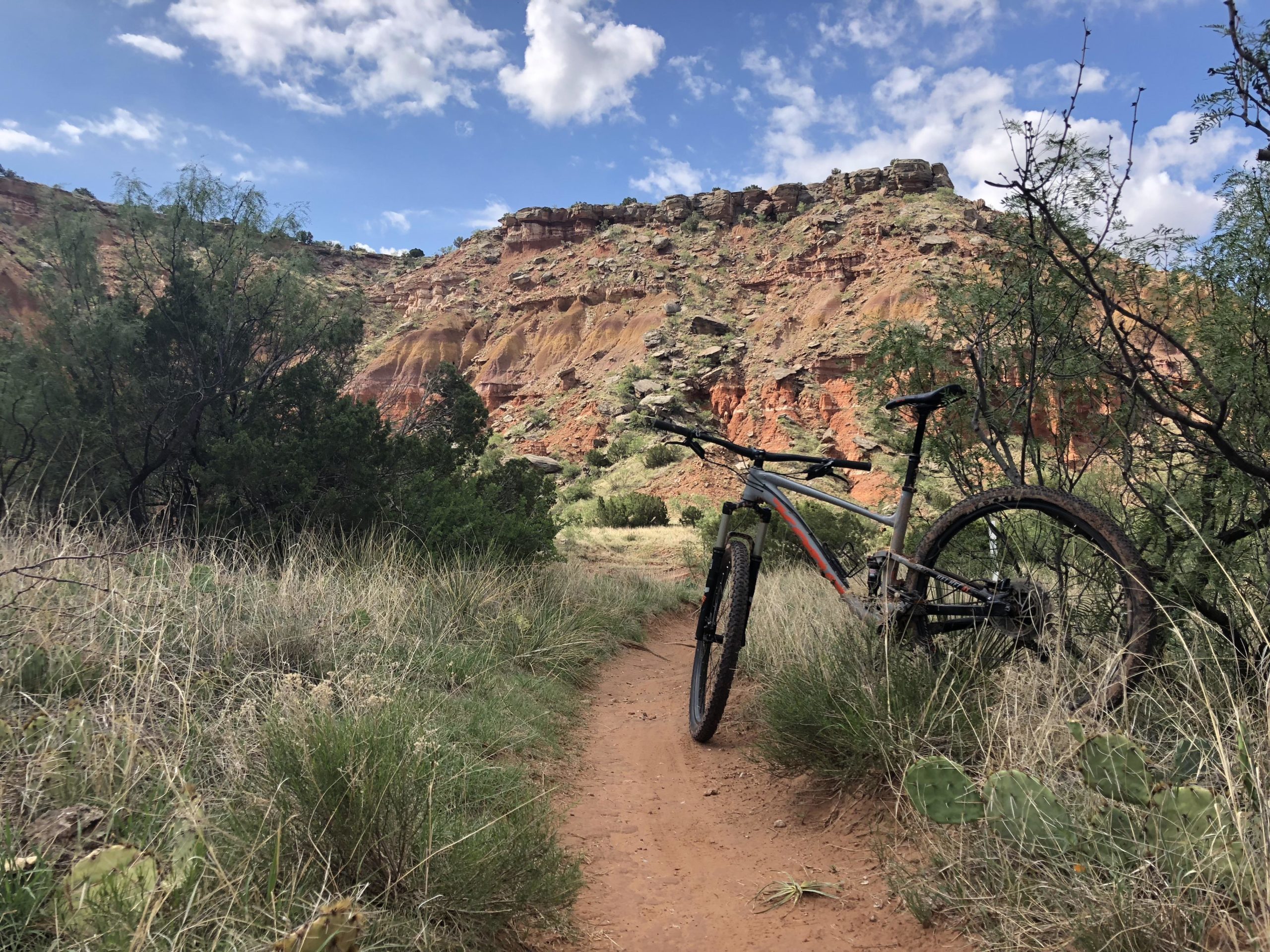 A mountain bike leaning against a bush on a dirt trail surrounded by tall grass and rocky cliffs under a partly cloudy sky. Palo Duro Canyon mountain bike trail.