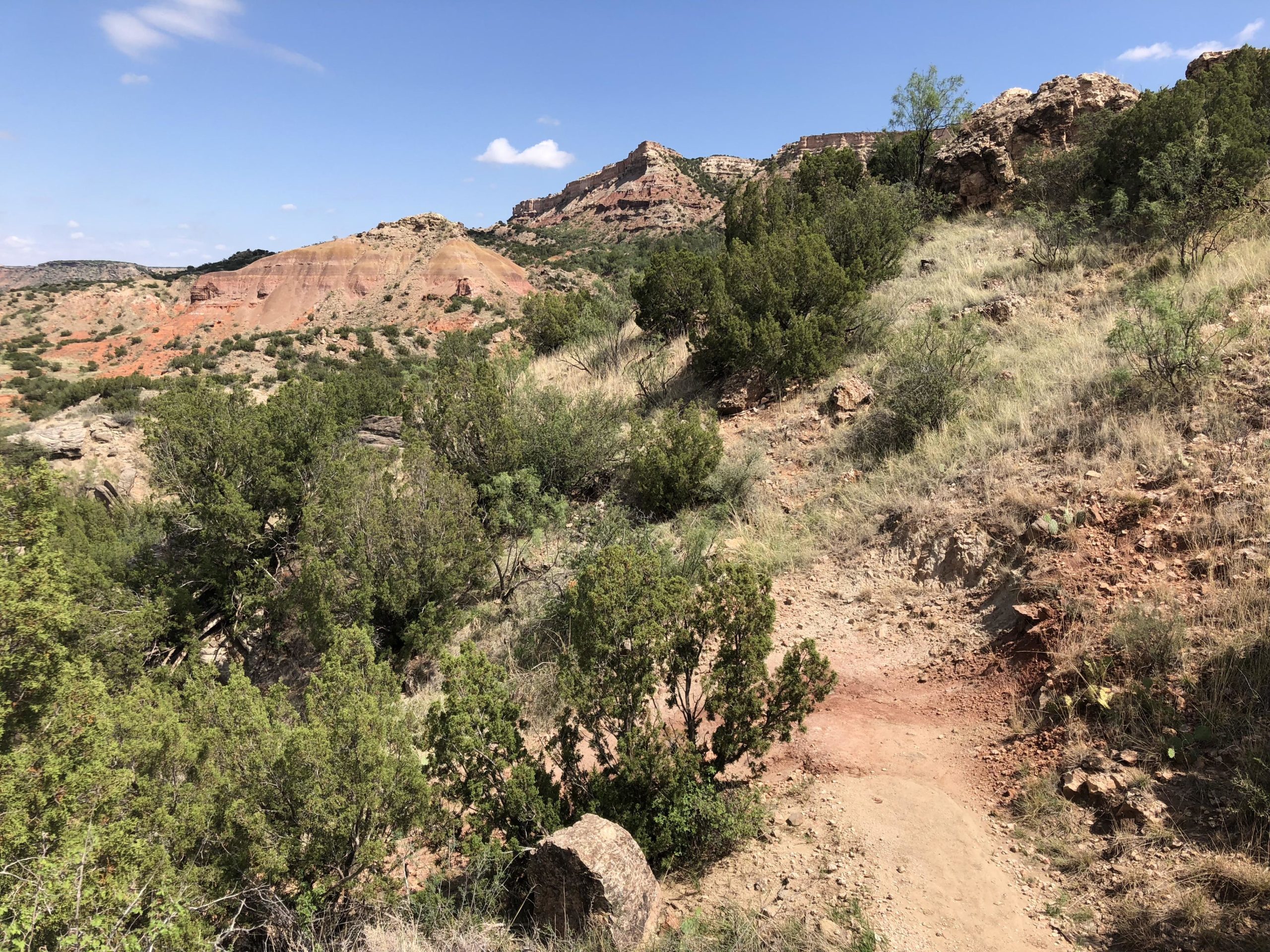 A scenic view of a rugged terrain featuring rocky hills and a mix of green shrubs and grass under a bright blue sky with a few clouds. The landscape showcases layers of red rock formations in the background, highlighting the natural beauty of the area. Palo Duro Canyon mountain bike trail.