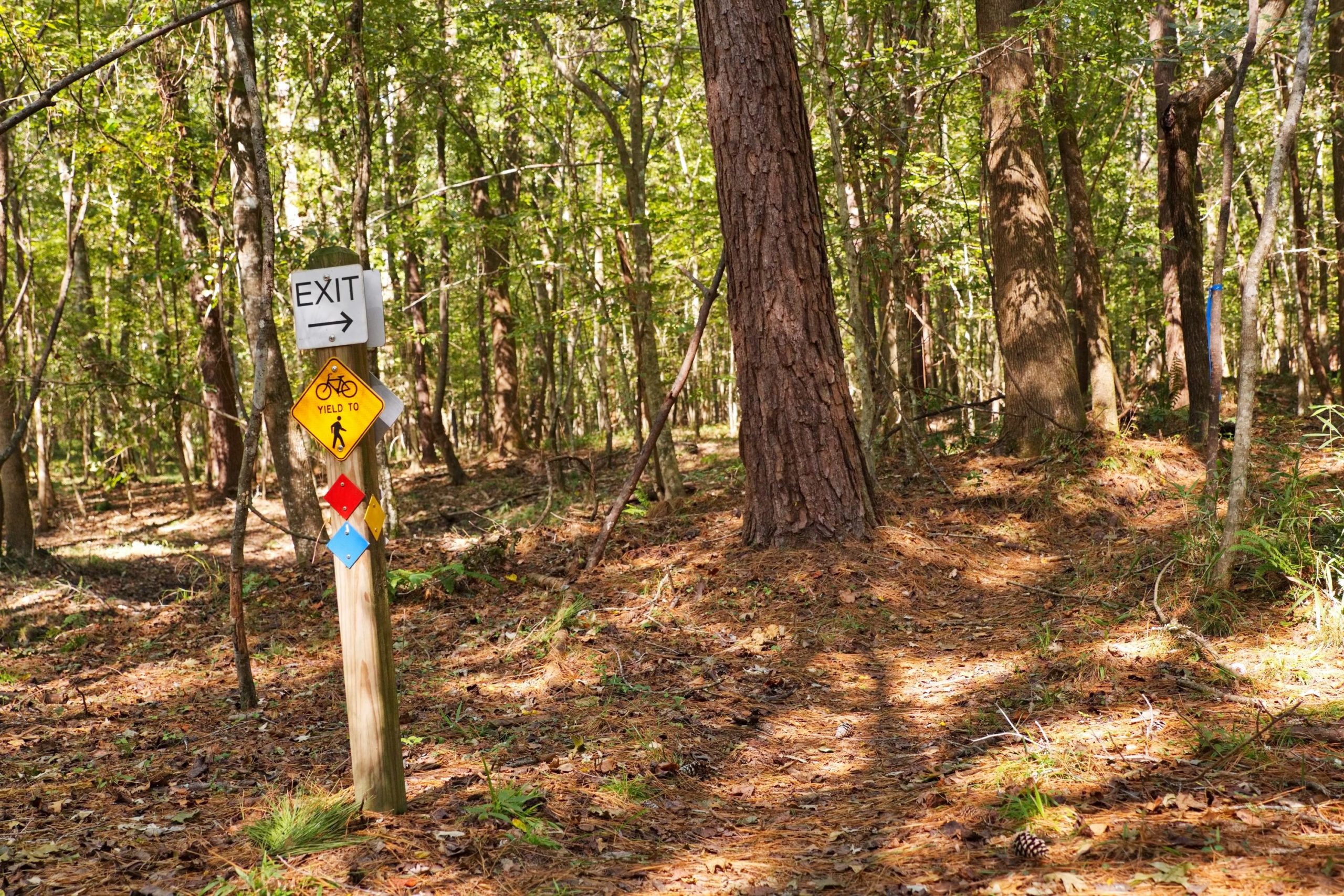 A wooden post signs an exit to a path, with additional signs indicating bike and pedestrian yield rules. The scene is set in a lush forest with trees and a carpet of pine needles on the ground, suggesting a nature trail. Wannamaker Park mountain bike trail.