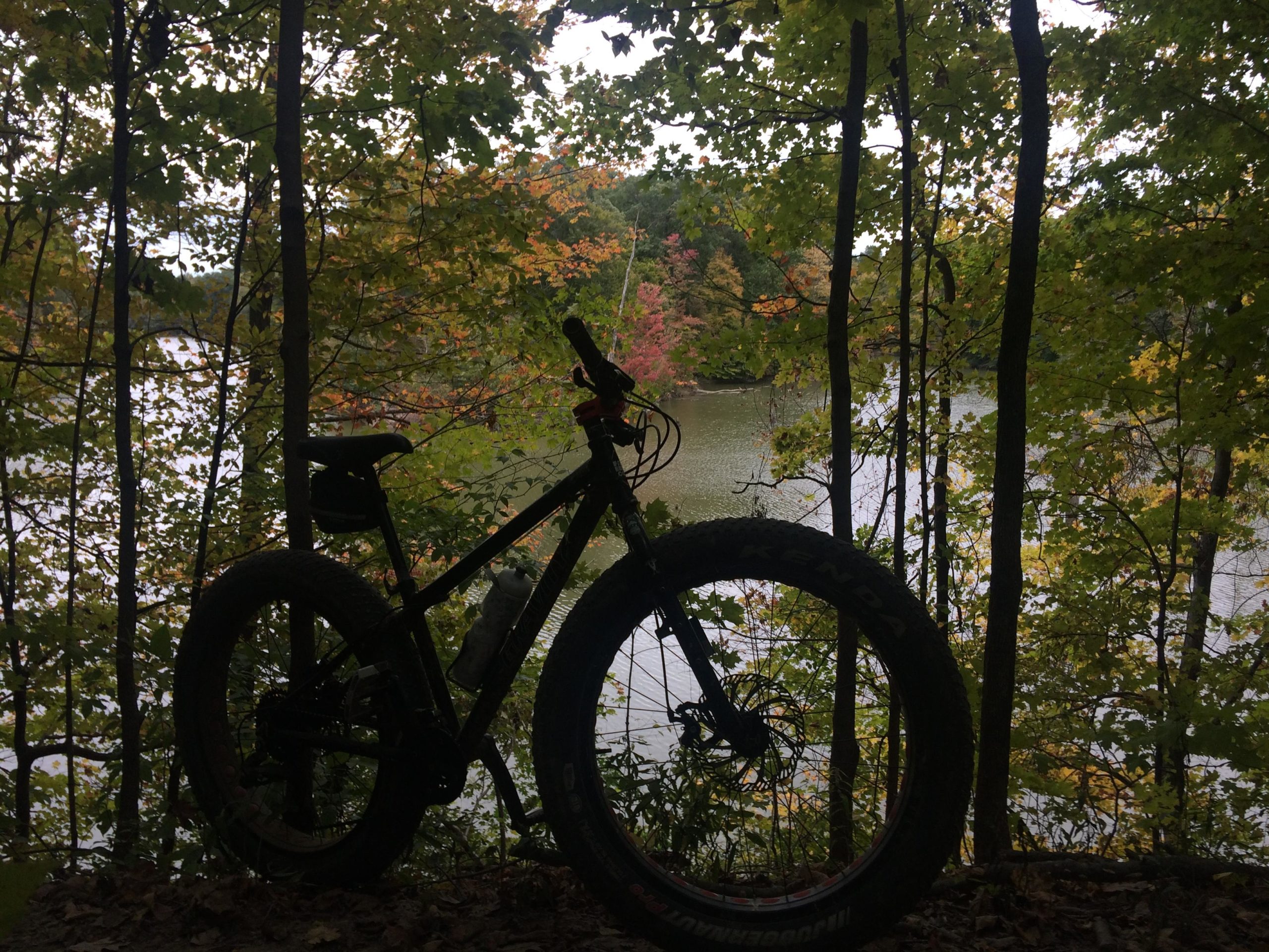 A silhouette of a fat bike leaning against a tree, surrounded by colorful autumn foliage, with a serene lake visible in the background. Alum Creek Phase I mountain bike trail.