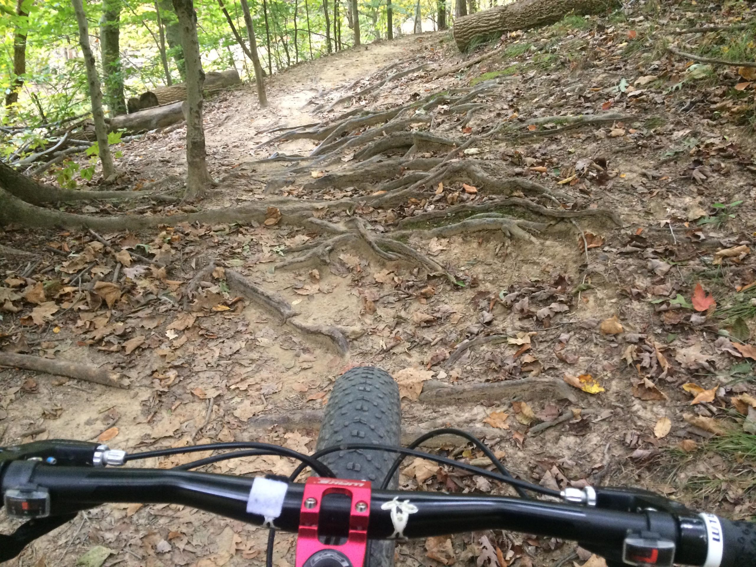 A close-up view of a mountain bike's handlebars on a dirt trail in a wooded area. The trail is surrounded by trees and features exposed tree roots and scattered autumn leaves on the ground. Soft sunlight filters through the foliage, creating a natural and adventurous atmosphere. Alum Creek Phase I mountain bike trail.