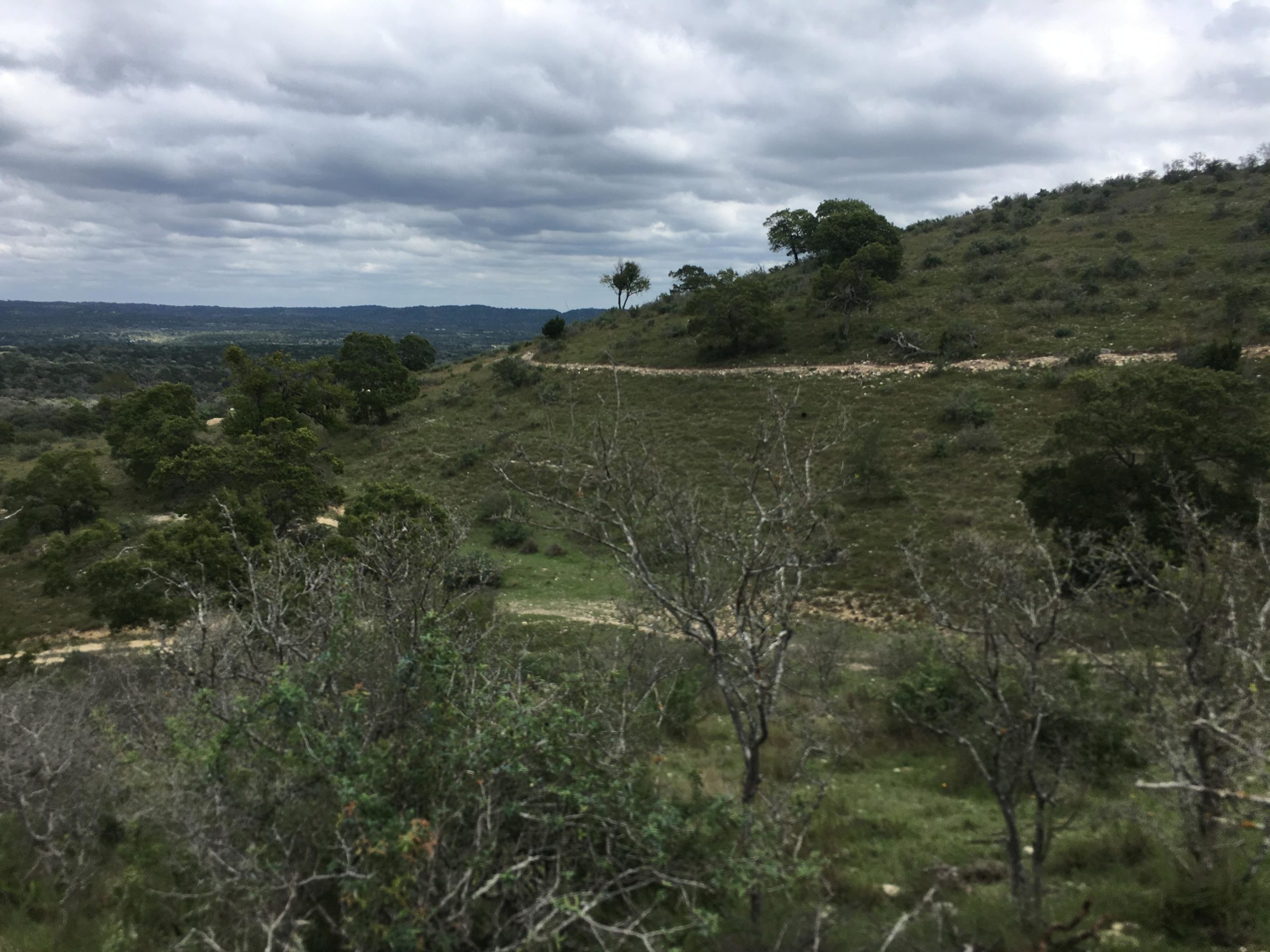 A scenic view of a hilly landscape featuring sparse trees and grassy areas under a cloudy sky. A dirt path winds through the terrain, leading into the distance, with hills and valleys visible in the background. Flat Rock Ranch mountain bike trail.