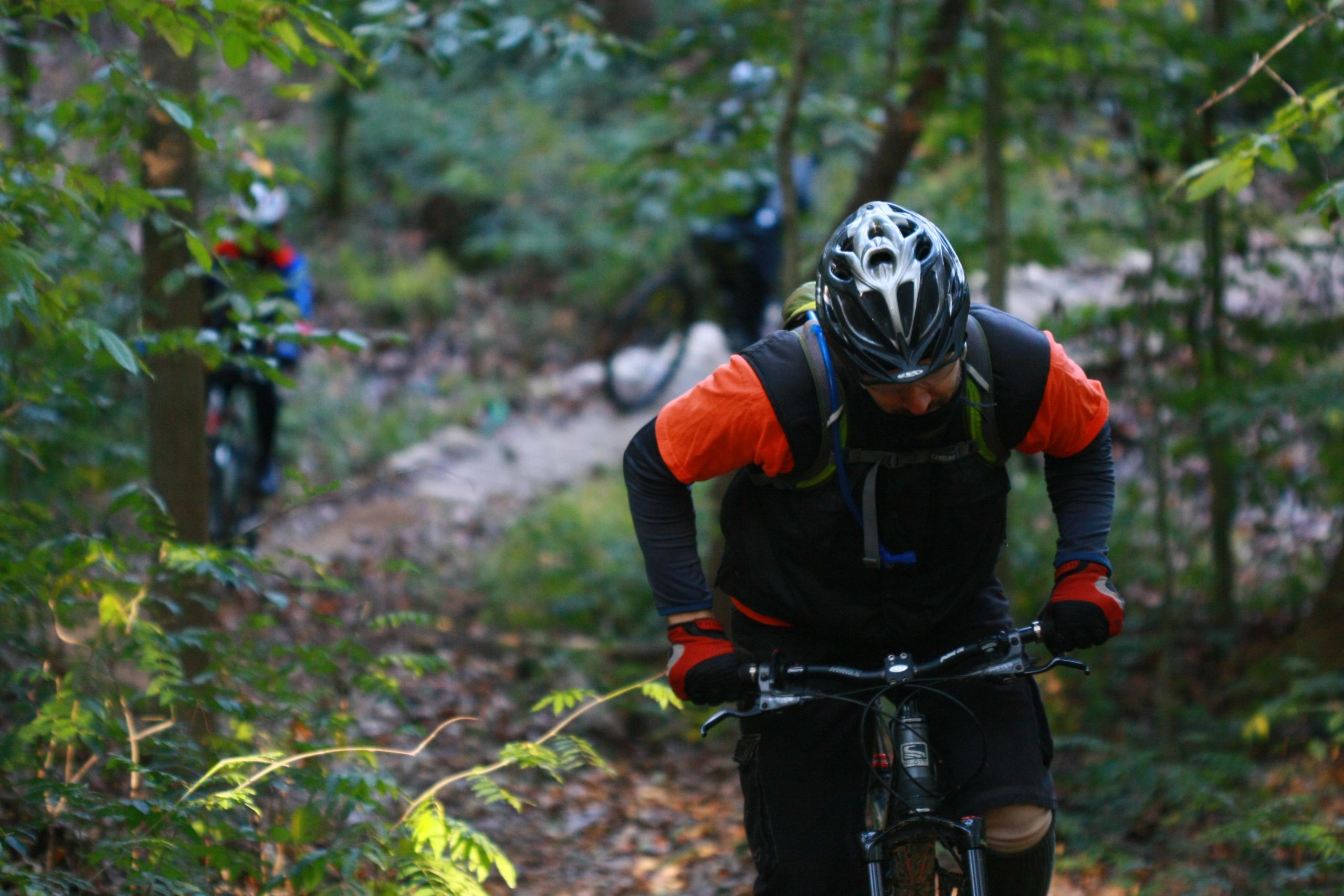 A mountain biker dressed in an orange shirt and black vest is navigating a wooded trail, leaning forward over his bike as he climbs a slope. In the background, two other cyclists can be seen riding along the path through the trees. The setting is surrounded by green foliage and earthy tones, indicating an outdoor biking environment. Tanglewood Park mountain bike trail.