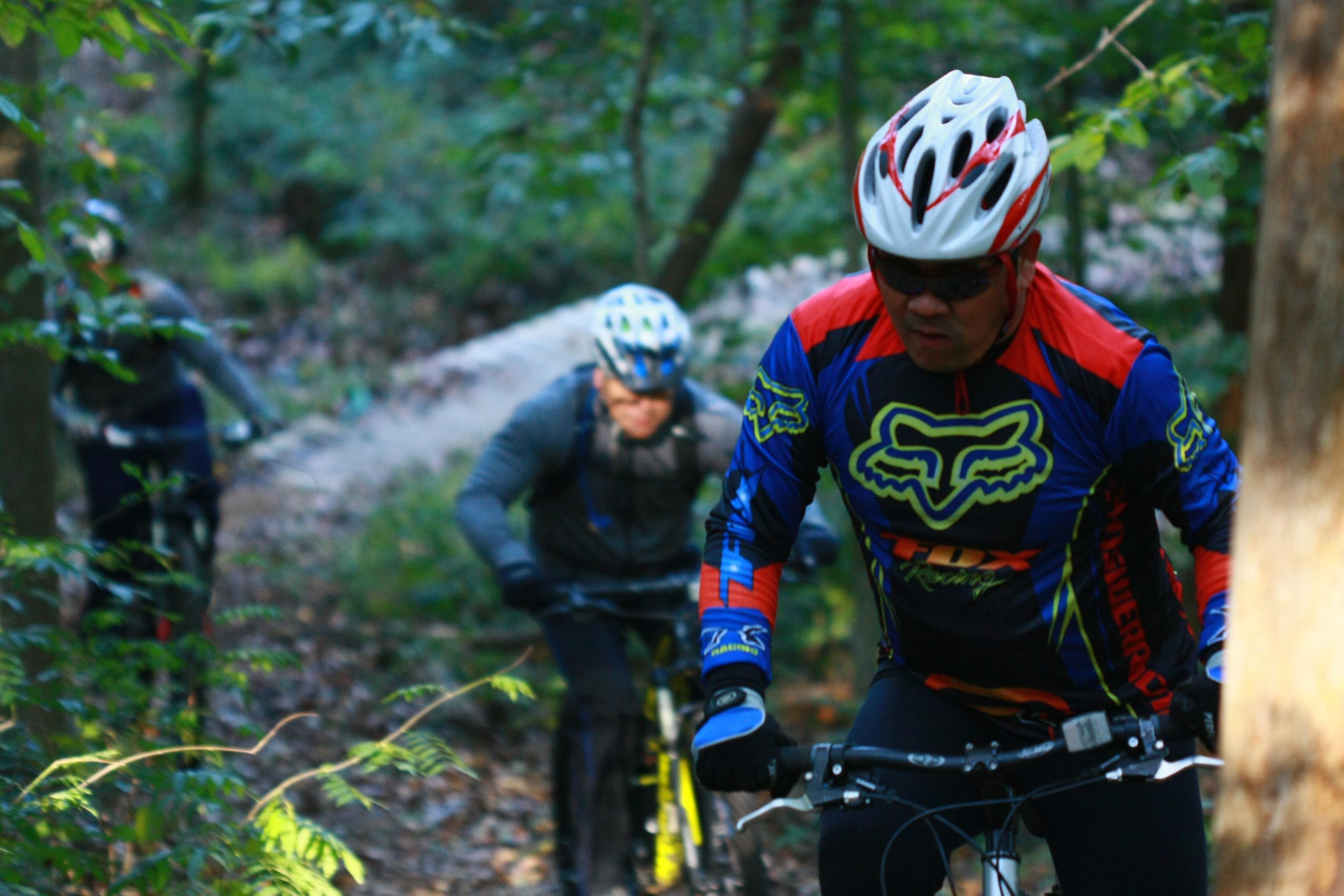 Three mountain bikers navigate a wooded trail, surrounded by greenery. One rider, in the foreground, wears a colorful long-sleeve jersey and helmet, showing focused determination. The two other cyclists trail behind, enhancing the sense of adventure in the outdoor setting. The terrain appears rugged, suggesting a challenging ride. Tanglewood Park mountain bike trail.