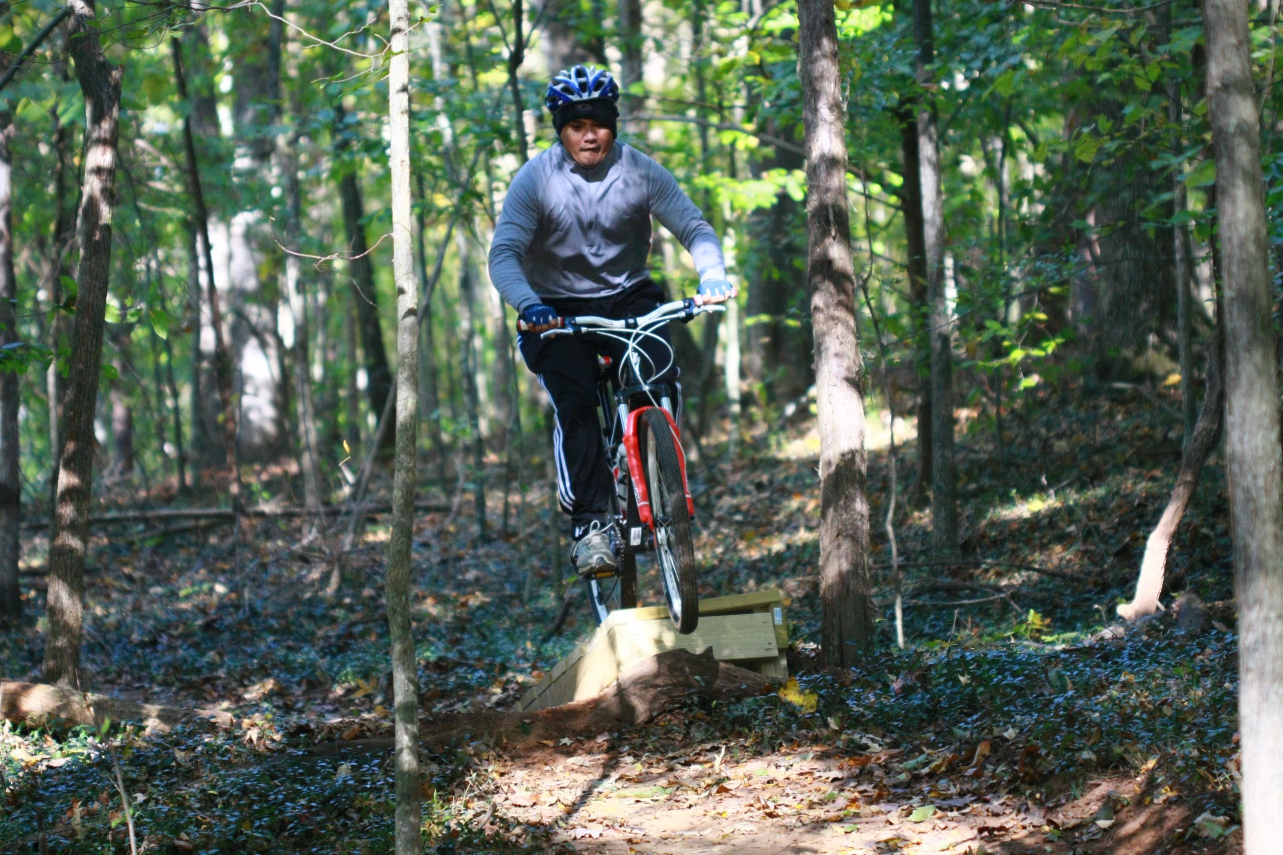 A person riding a red and black mountain bike jumps off a wooden ramp in a forested area, surrounded by trees and autumn leaves. Tanglewood Park mountain bike trail.
