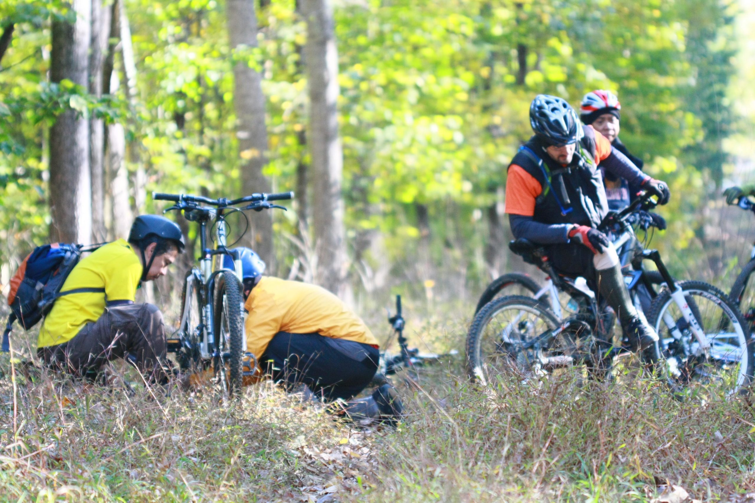 Four cyclists in a forested area are working on their bikes. Two individuals are crouched down beside a bike on the ground, inspecting it, while another is seated on a bike, looking at it. All are wearing helmets and bright clothing, and the scene is surrounded by green trees and foliage, suggesting a sunny day. Tanglewood Park mountain bike trail.