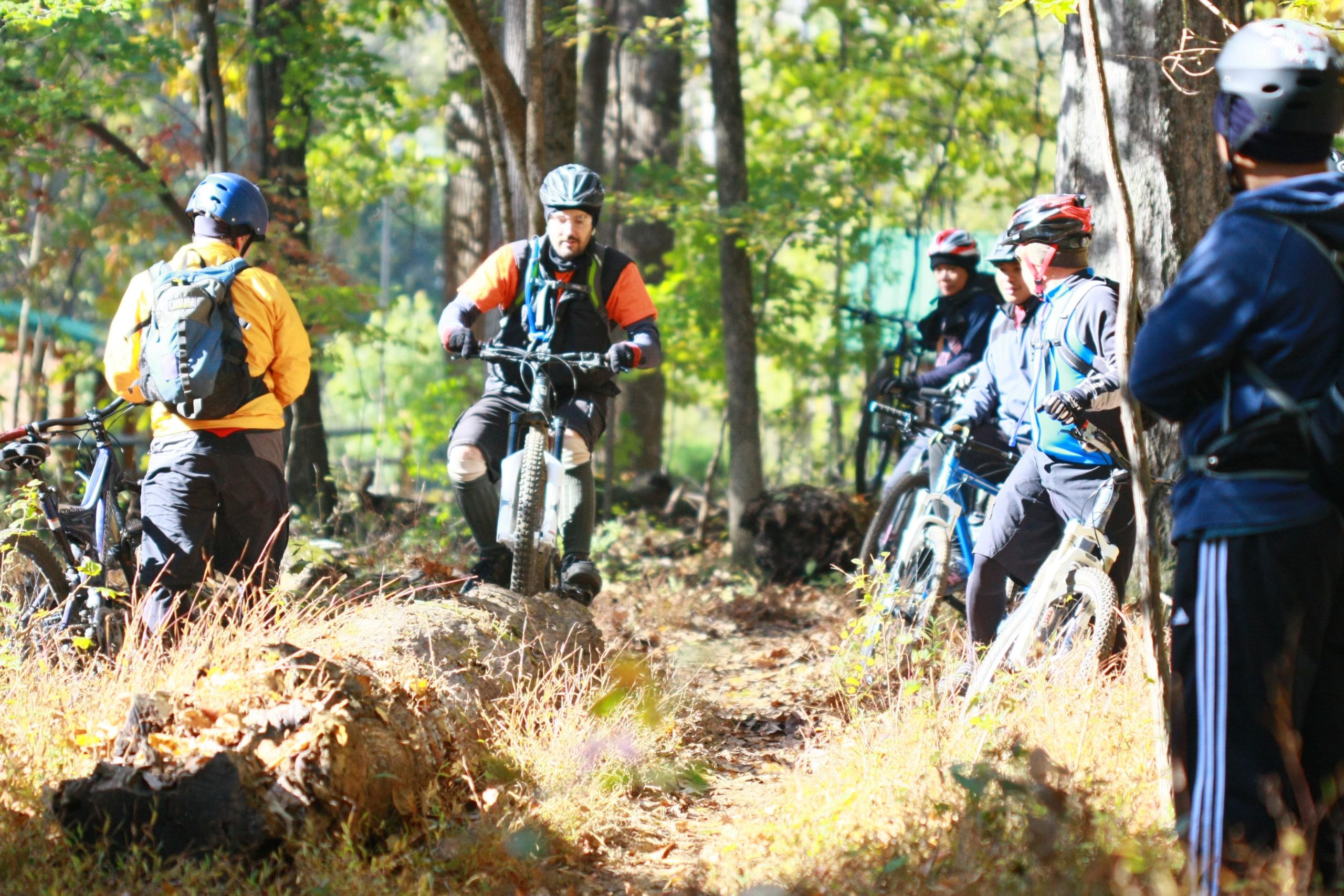 A group of mountain bikers gathers on a forest trail, surrounded by lush greenery and fallen logs. One rider, wearing an orange shirt and a helmet, is navigating over a log, while others stand by their bikes, engaged in conversation. The scene captures the vibrant autumn colors of the trees and the camaraderie of outdoor cycling. Tanglewood Park mountain bike trail.