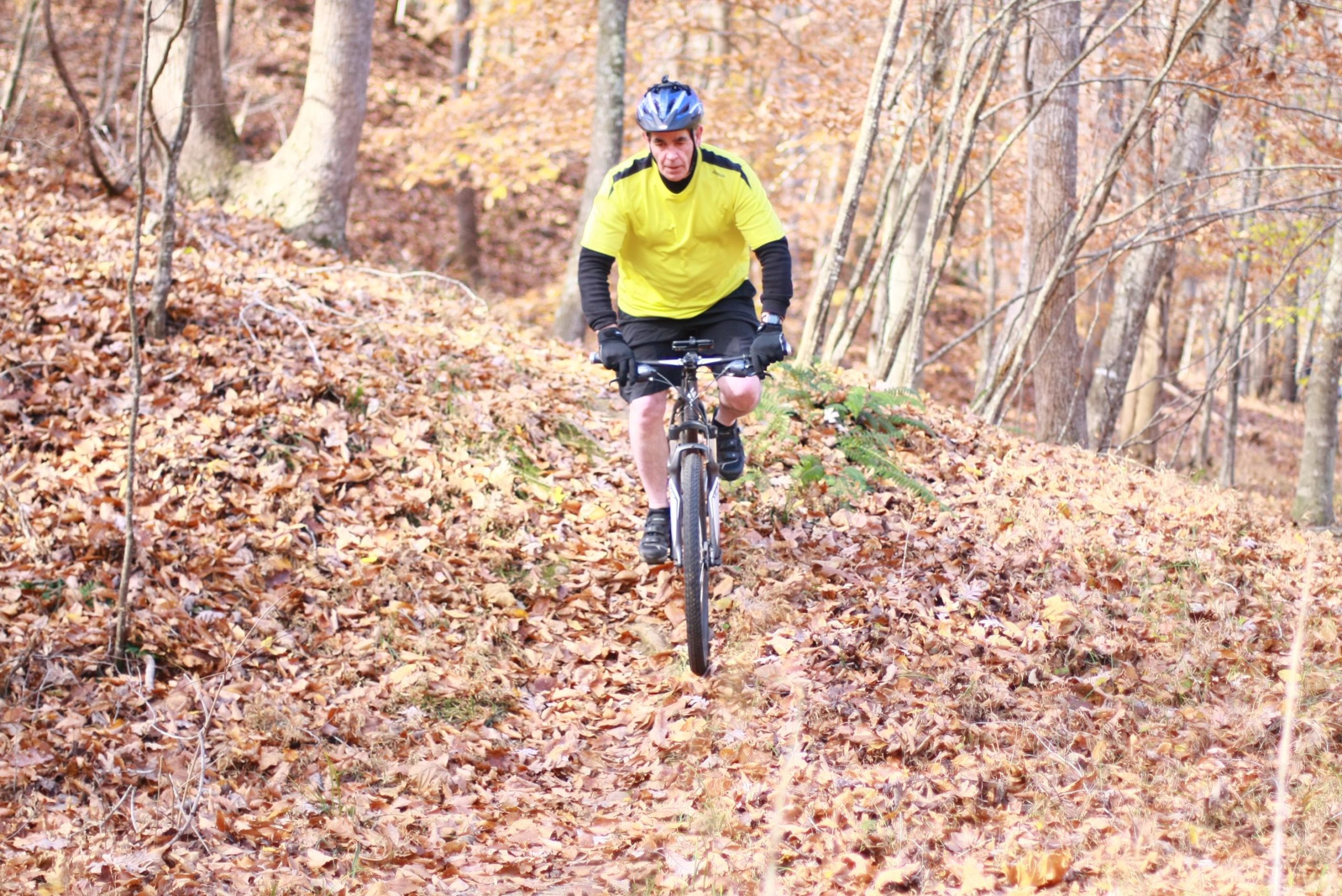 A mountain biker wearing a bright yellow shirt rides along a leafy trail in a wooded area during autumn. The ground is covered in fallen leaves, and trees with orange and yellow foliage surround the path. Cedar Ridge Chatmoss mountain bike trail.