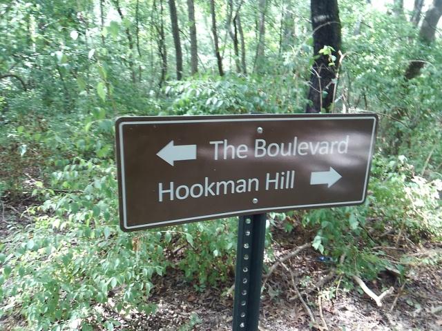 A brown directional sign in a wooded area indicating two paths: "The Boulevard" to the left and "Hookman Hill" to the right. Surrounding the sign are various green plants and trees. Percy Warner Mountain Bike Trails mountain bike trail.