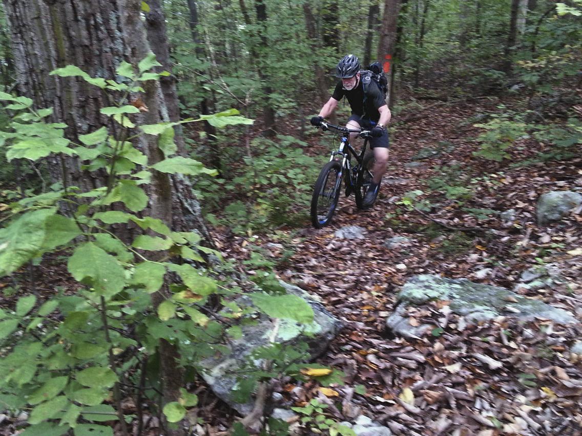 A mountain biker riding on a rocky trail surrounded by lush green vegetation and autumn leaves in a wooded area. Massanutten Trail mountain bike trail.