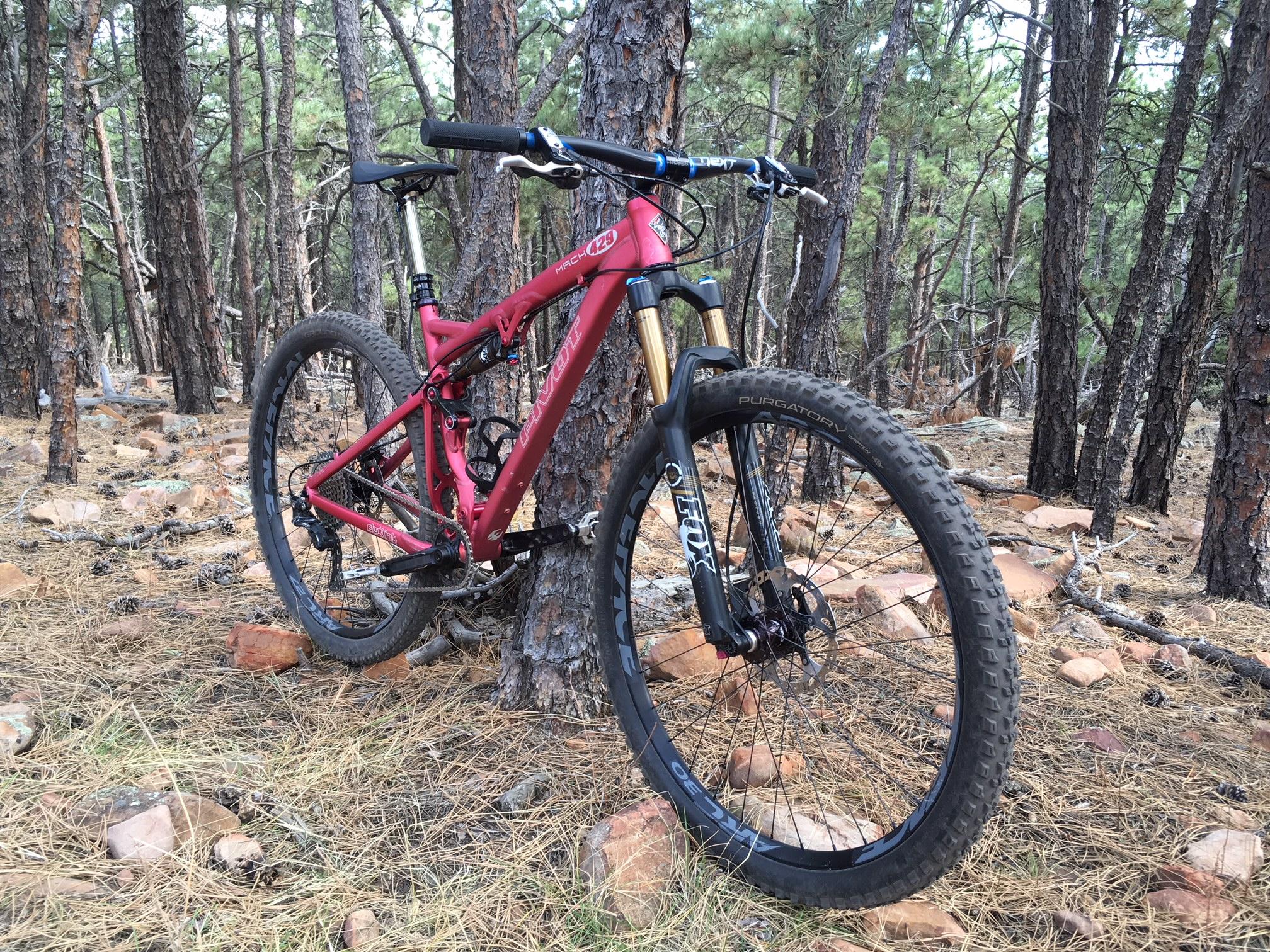 Pivot Mach 429: A red mountain bike parked against a tree in a wooded area, surrounded by pine trees and rocky terrain. The bike features off-road tires and a prominent suspension system, suggesting it is designed for trail riding.