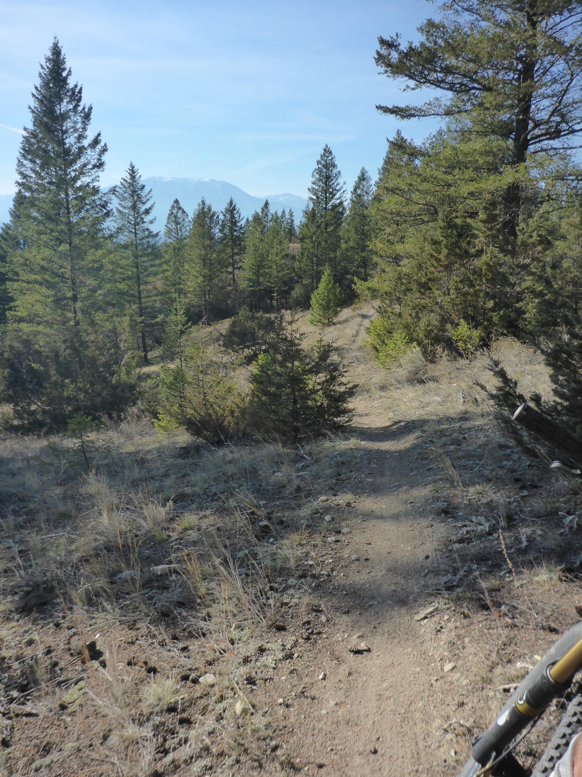 A scenic dirt trail winding through a lush forest of evergreen trees, with mountains visible in the background under a clear blue sky. The path is bordered by grass and small rocks, suggesting a serene hiking or biking experience. Juniper Heights - High Roller mountain bike trail.