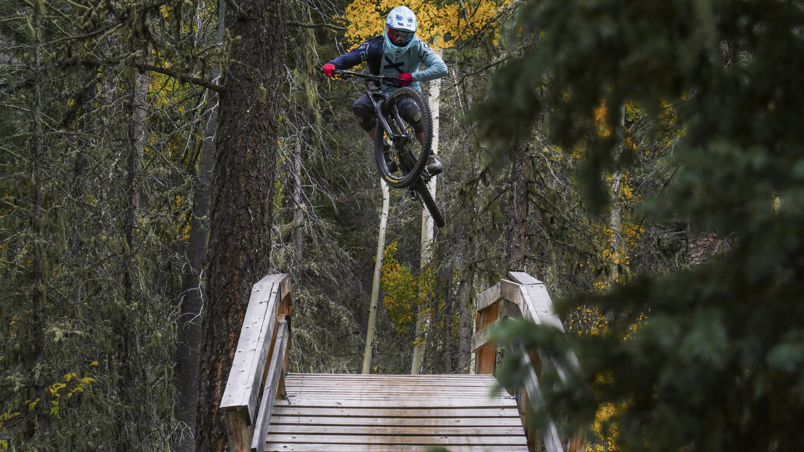 A cyclist performing a jump off a wooden ramp in a forested area, surrounded by tall trees and autumn foliage. The rider is wearing a helmet and specialized biking gear, showcasing an action-packed moment in mountain biking. Angel Fire Bike Park mountain bike trail.