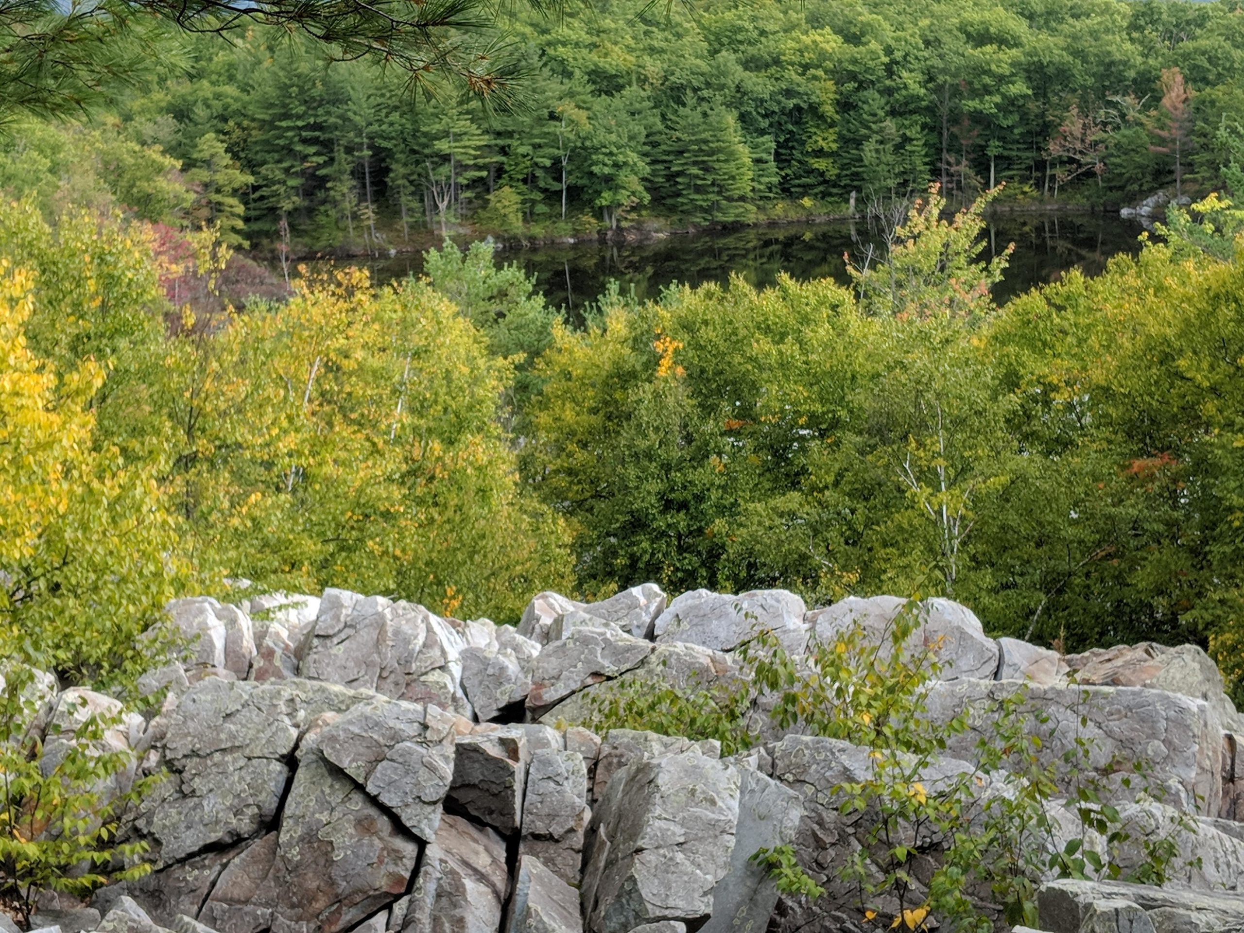 Scenic view of a rocky outcrop in the foreground, with lush green trees and a calm lake surrounded by foliage in the background. The image captures the beauty of nature with hints of autumn colors among the leaves. Pine Hill Park mountain bike trail.