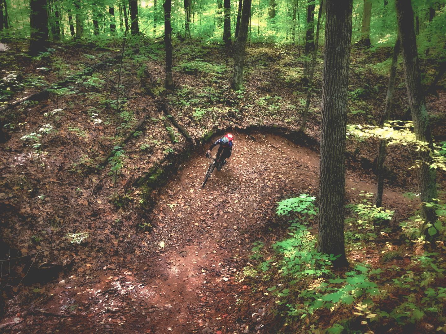 A mountain biker navigating a winding dirt trail through a lush green forest, with trees surrounding the path and fallen leaves scattered on the ground. Seeley Pass Trail mountain bike trail.
